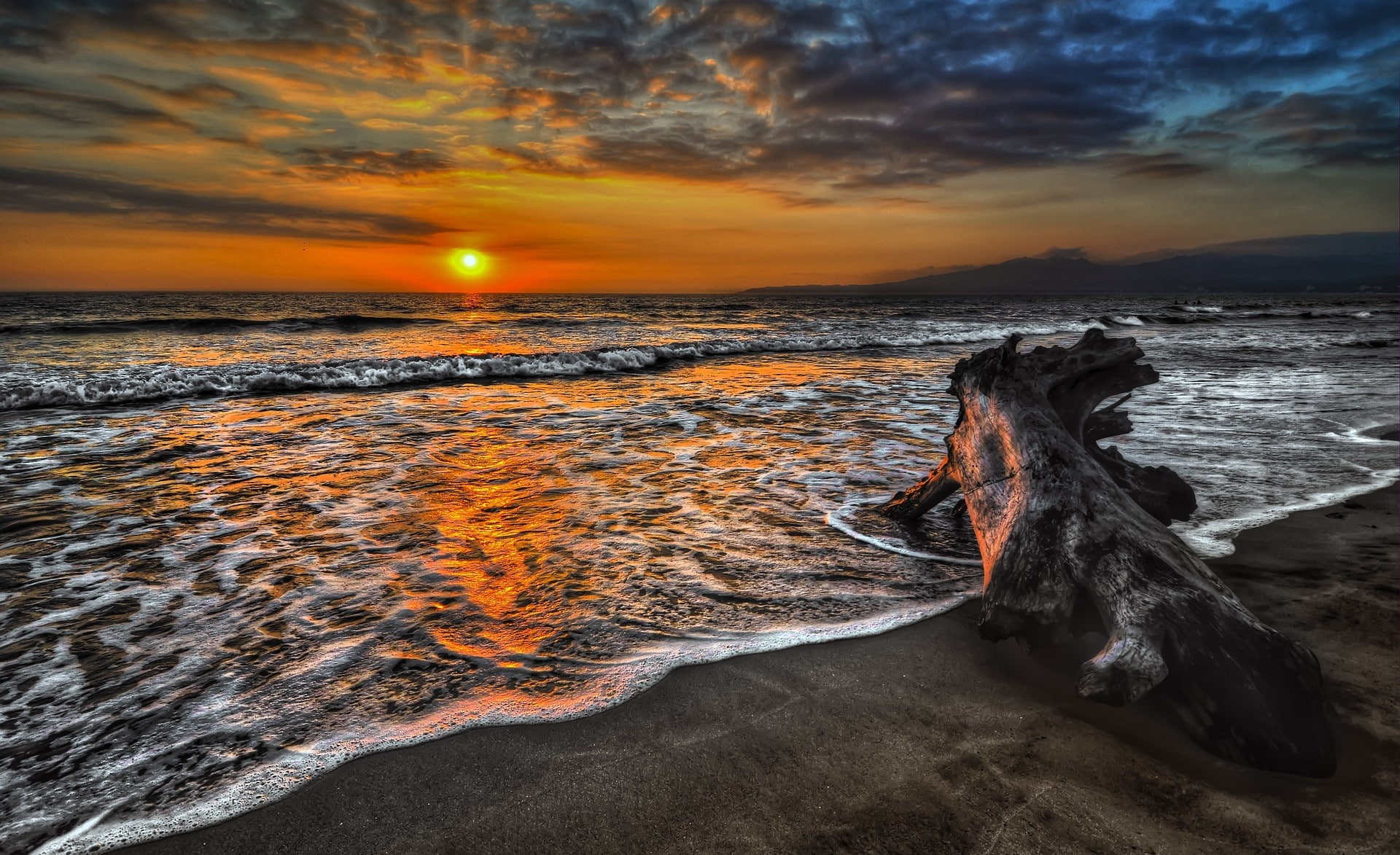 Nature, Beach, Driftwood, wood, brown, drift, 1080P, HD Wallpaper