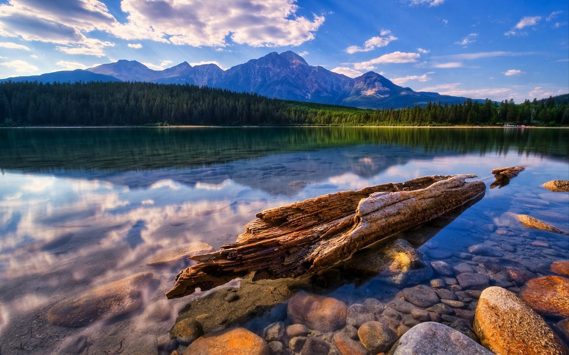 Mountains, Clouds, Forest, clear, Lake, Driftwood, 1080P, Stones, HD Wallpaper