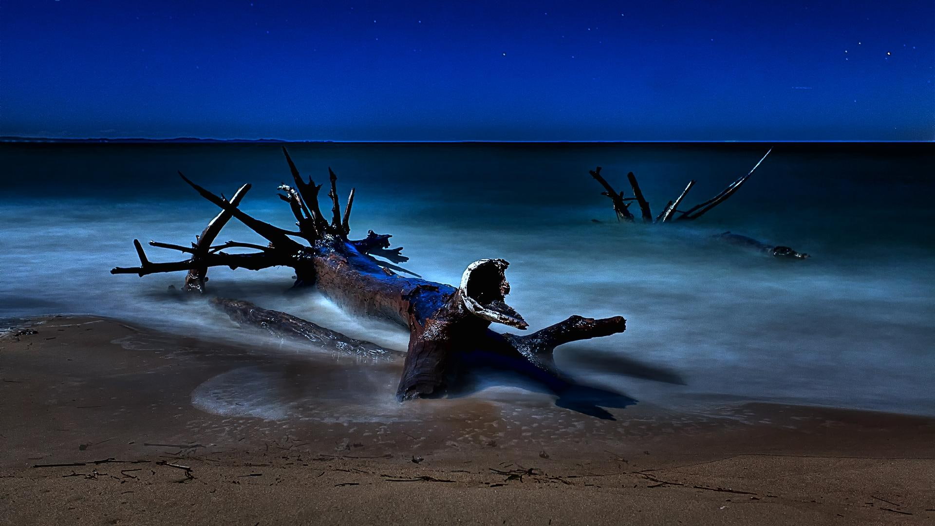 starry, driftwood, night, nature and landscapes, beached, 1080P, beach, stars, HD Wallpaper