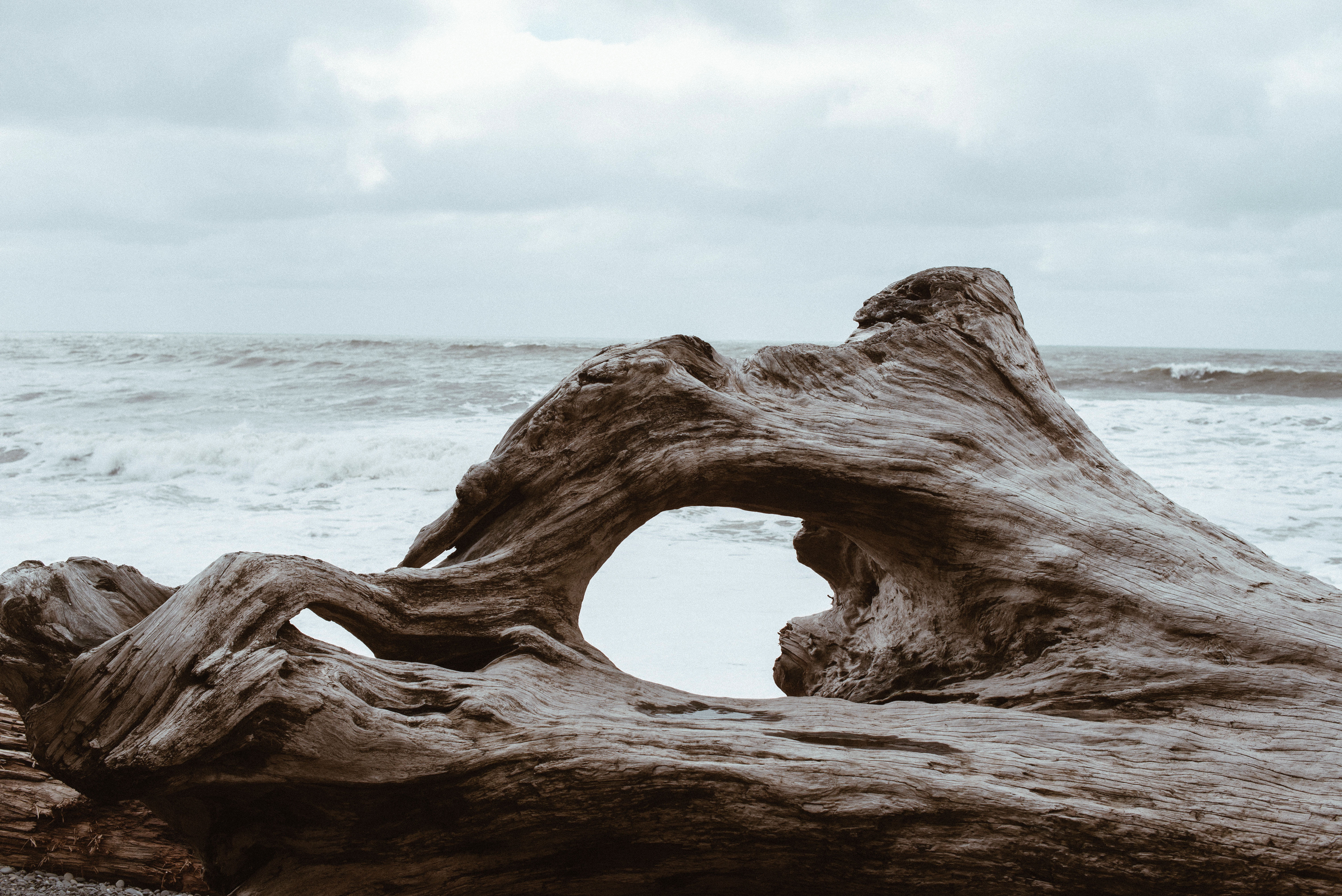water, outdoors, day, beach, woods, scenics - nature, rock - Object, horizon over water, sky, rock, beauty in nature, ocean, no people, cloud - sky, coastline, HD Wallpaper
