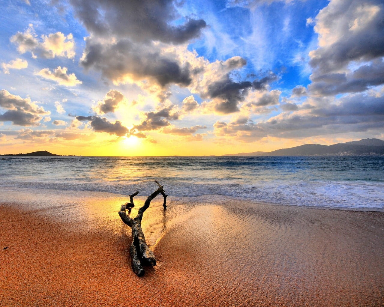 scenics, tropical Climate, sunrise - Dawn, clouds, log, sun, reflection, sand, vacations, tranquility, dusk, sunset, cloud - Sky, brown, beach, horizon, HD Wallpaper