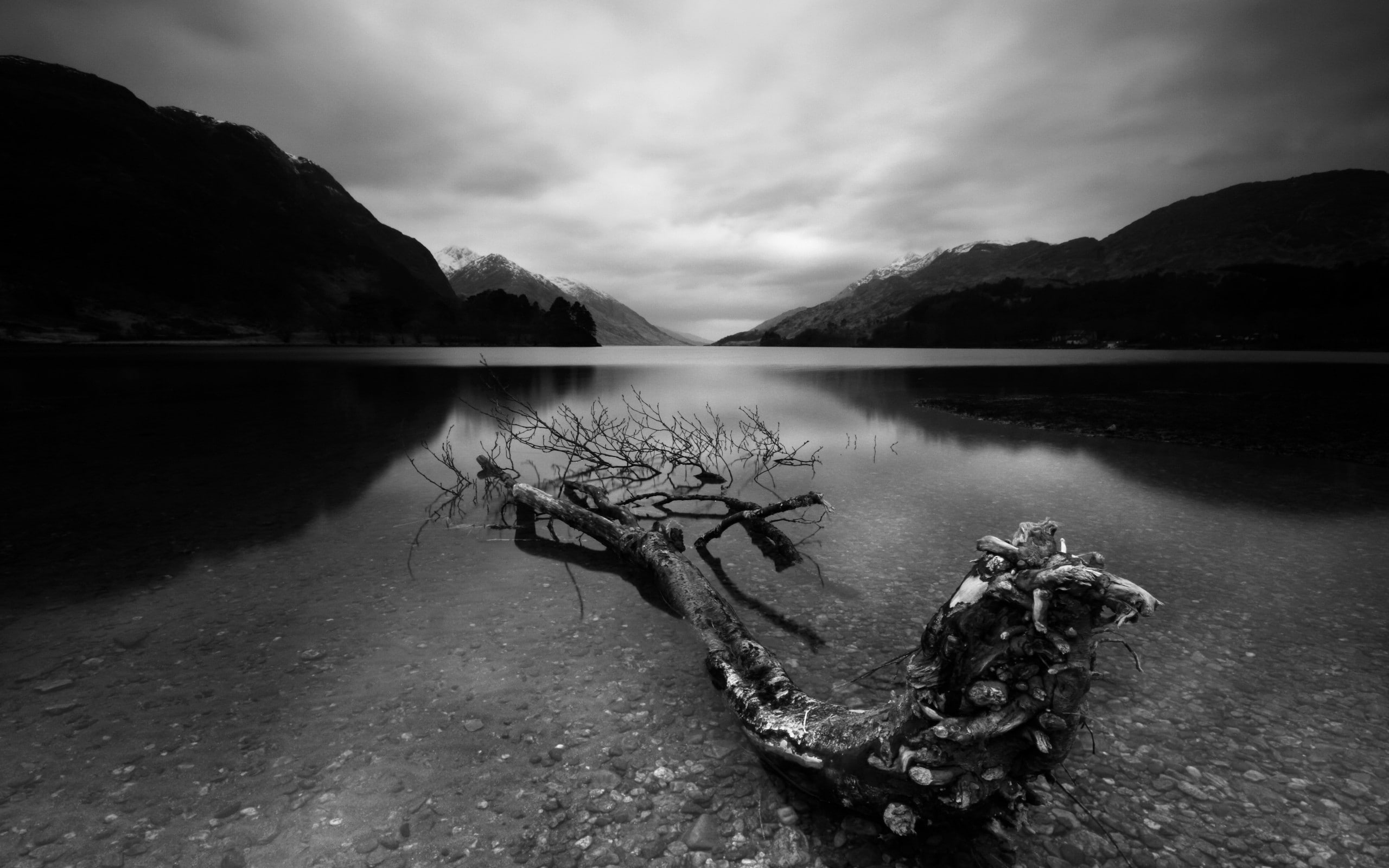 no people, tree, mountain range, waterfront, non-urban scene, day, 2K, scenics - nature, driftwood, tranquility, tranquil scene, beauty in nature, outdoors, HD Wallpaper