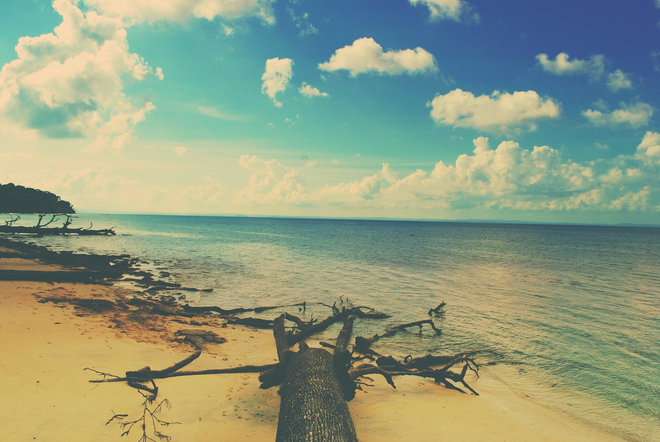 tranquil scene, horizon, idyllic, trees, tranquility, beauty in nature, driftwood, nature, horizon over water, sky, non-urban scene, metal, water, land, HD Wallpaper