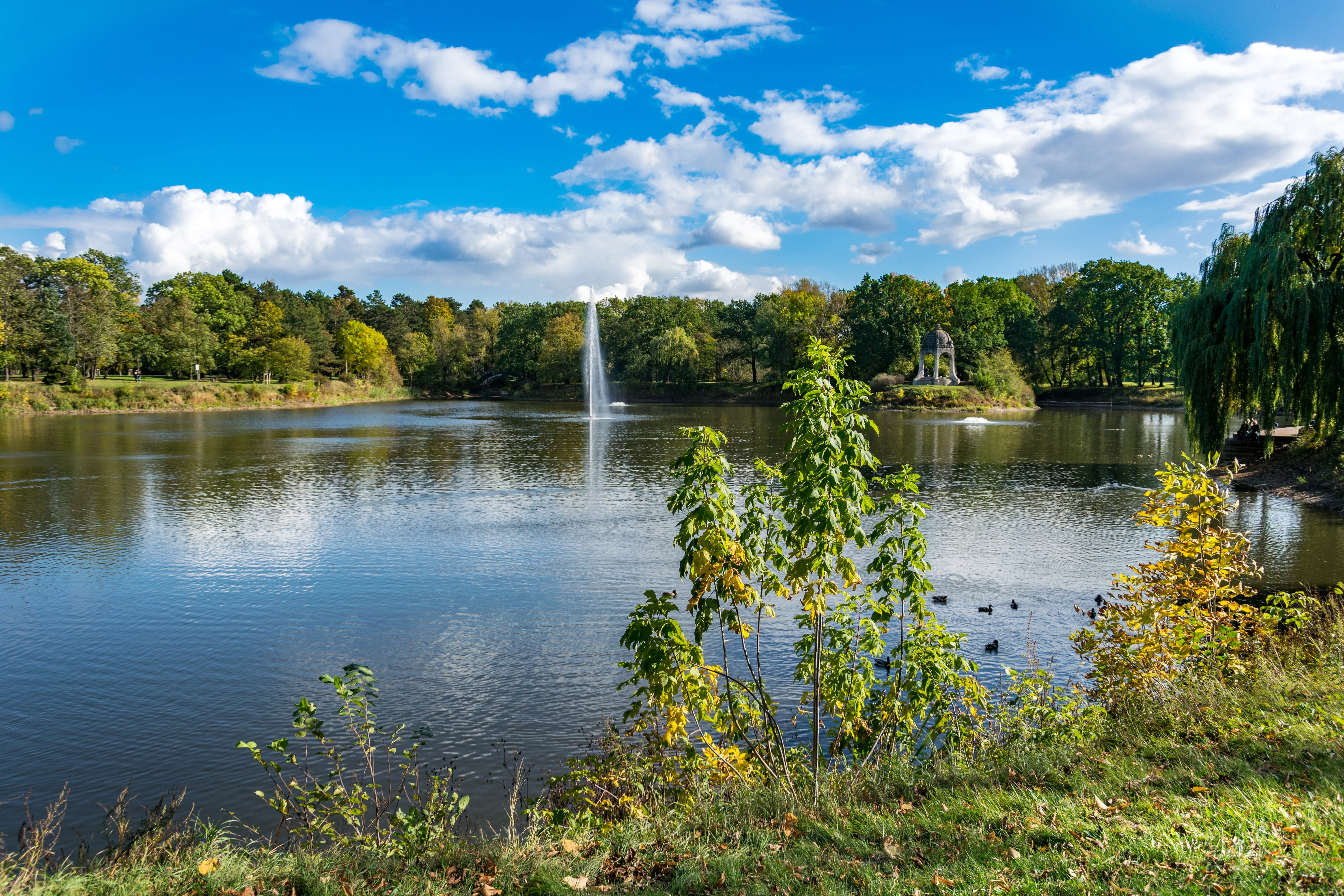 park, non-urban scene, fountain, plant, day, magdeburg, beauty in nature, tree, nature, green color, temple, idyllic, pond, cloud - sky, swim, scenics - nature, HD Wallpaper