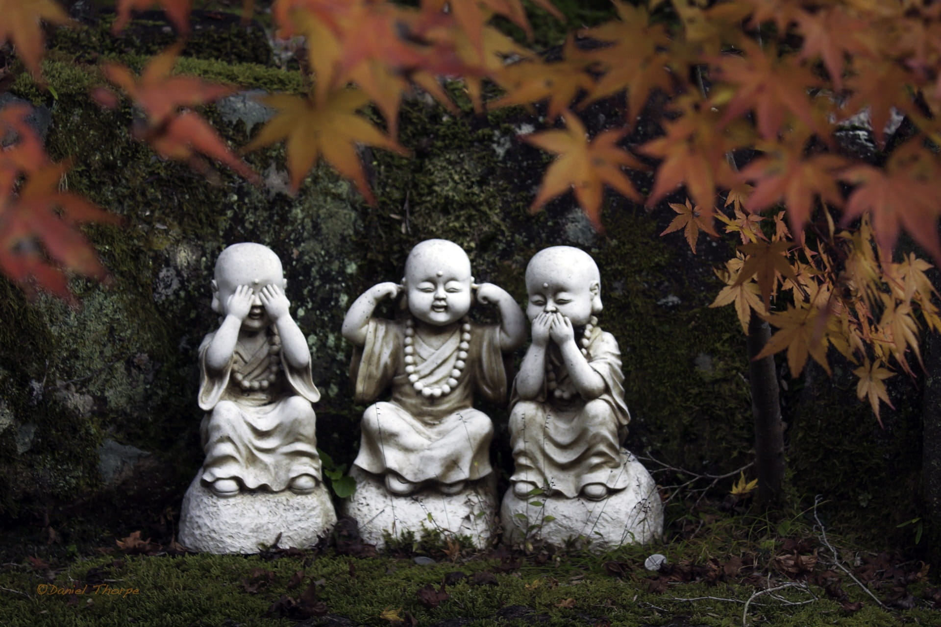 plant part, Small, buddha, creativity, representation, See No Evil, religion, art and craft, autumn, no people, spirituality, Statues, statue, female likeness, HD Wallpaper