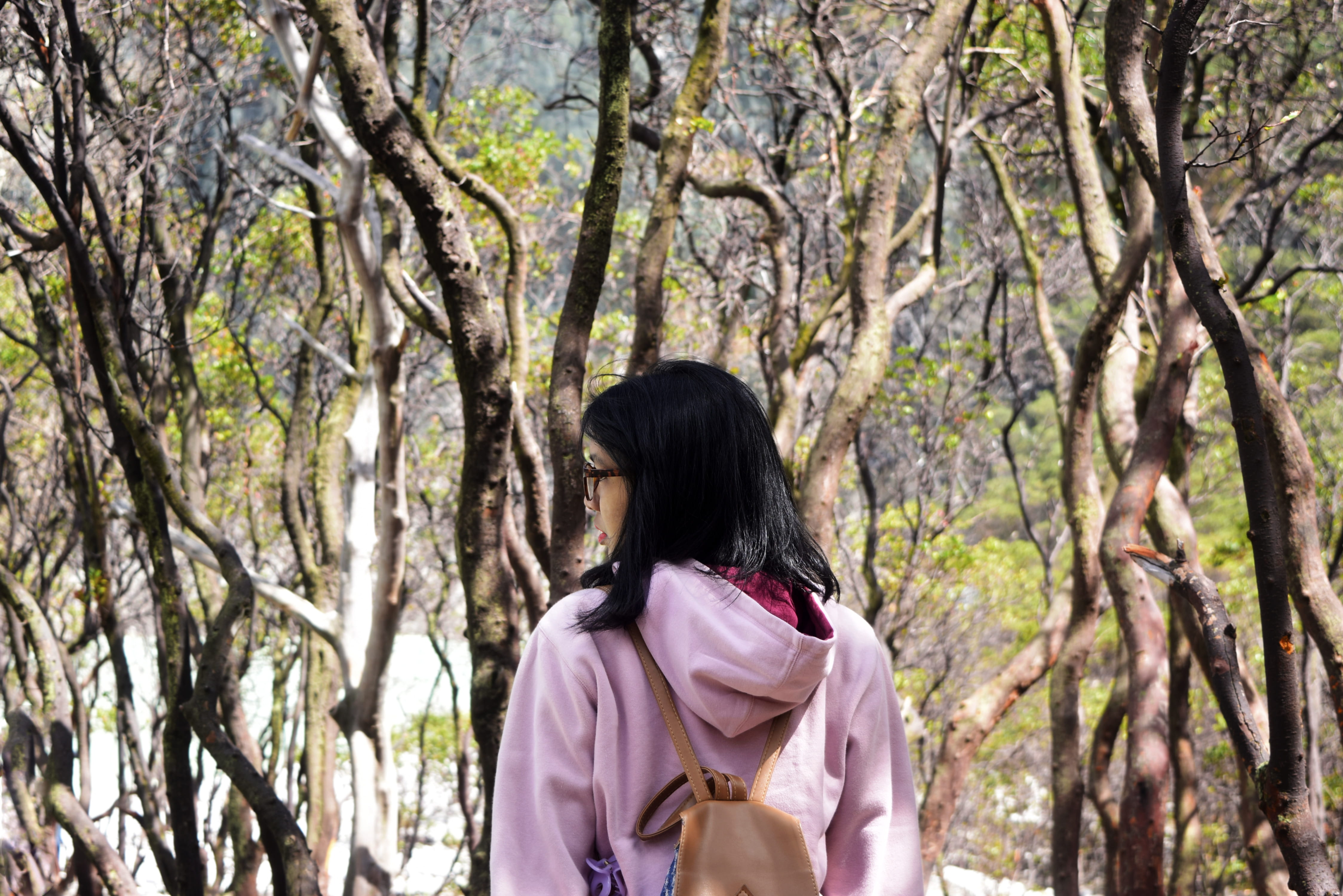 nature, lifestyles, rear view, woodland, outdoors, real people, waist up, forest, indonesia, tree trunk, land, casual clothing, beautiful, hairstyle, women, HD Wallpaper
