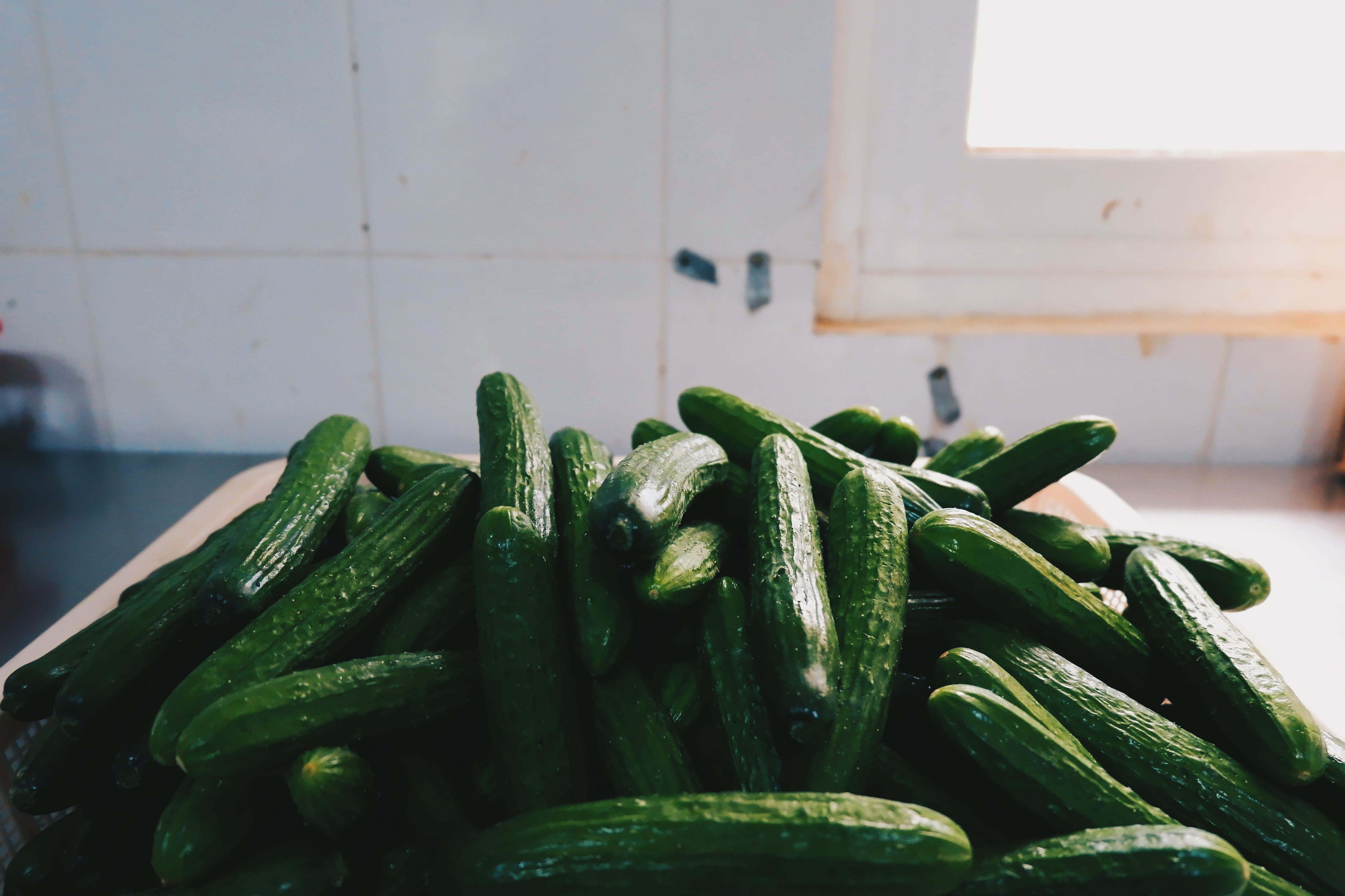 large group of objects, cucumber, harvest, grey, table, wellbeing, green, plant, raw food, agriculture, lot, container, green color, fresh, food, freshness, HD Wallpaper