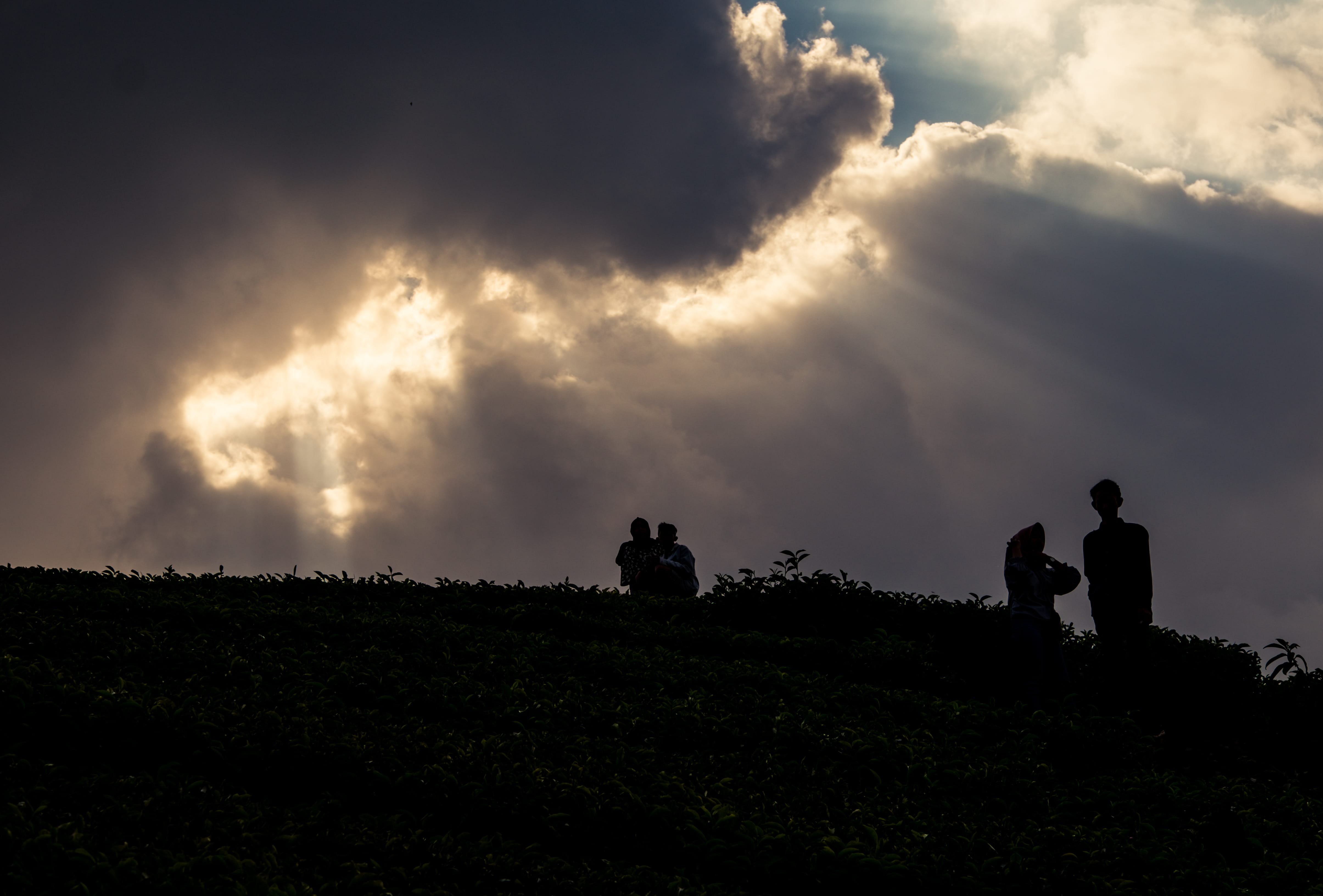 tranquility, sky, fujifilm, ciwidey, nature, people, cloud - sky, bandung, standing, outdoors, real people, men, togetherness, women, forest, land, beauty in nature, HD Wallpaper