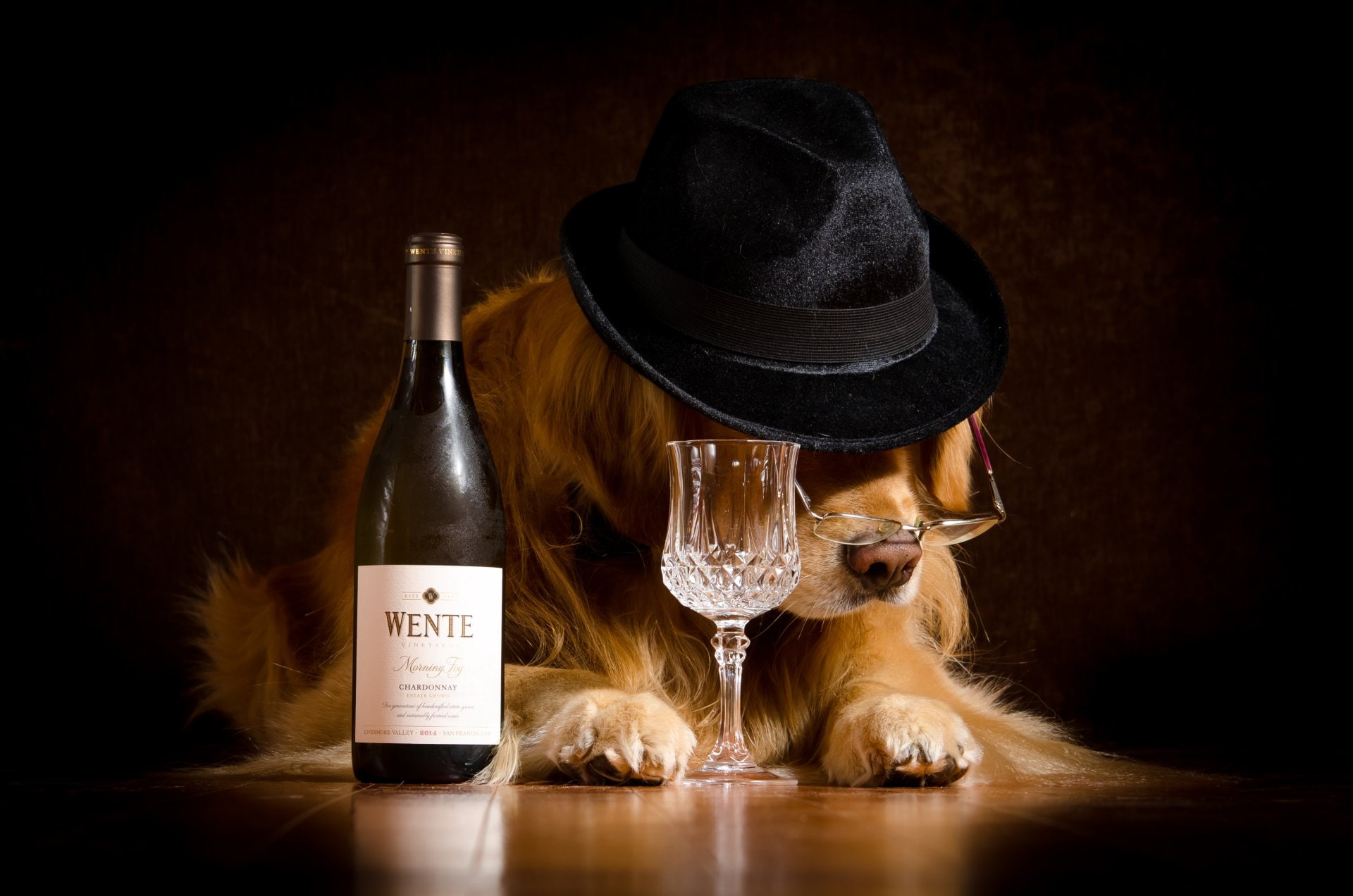Golden Retriever, Humor, Dogs, Bottle, Glasses, Glass, Wine, Hat, 1080P, HD Wallpaper