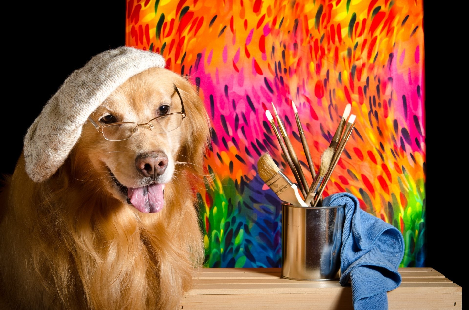Golden Retriever, Hat, Dogs, Dog, Pet, Glasses, 1080P, HD Wallpaper