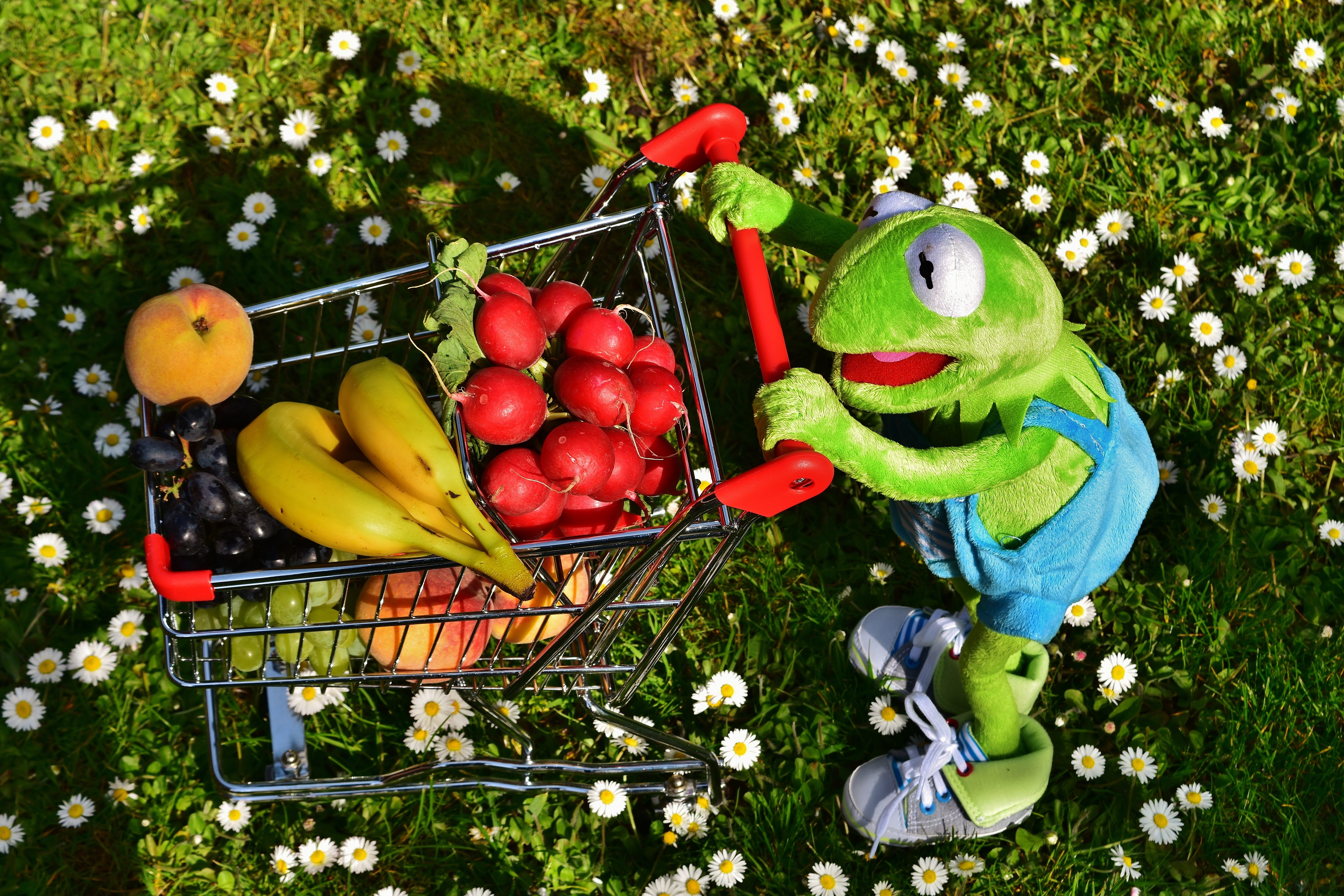 fruit, naturprodukte, toy, sunlight, vegetables, still life, food and drink, bananas, 5K, peaches, market, basket, day, high angle view, farmers local market, HD Wallpaper