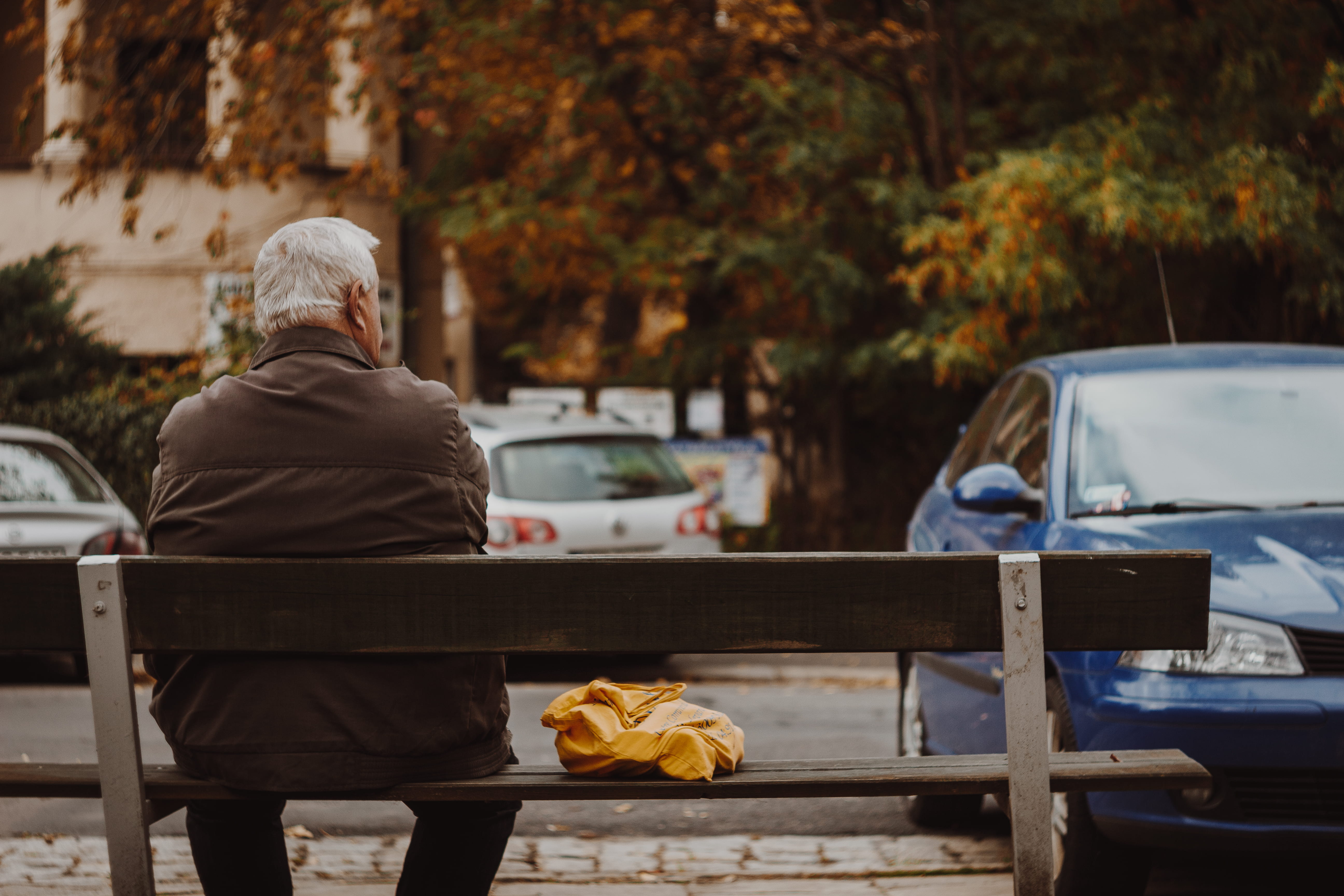 lifestyles, 5K, looking, senior men, adult, plant, warm clothing, oldman, watching, change, one person, senior adult, nature, car, waiting, bench, tree, HD Wallpaper