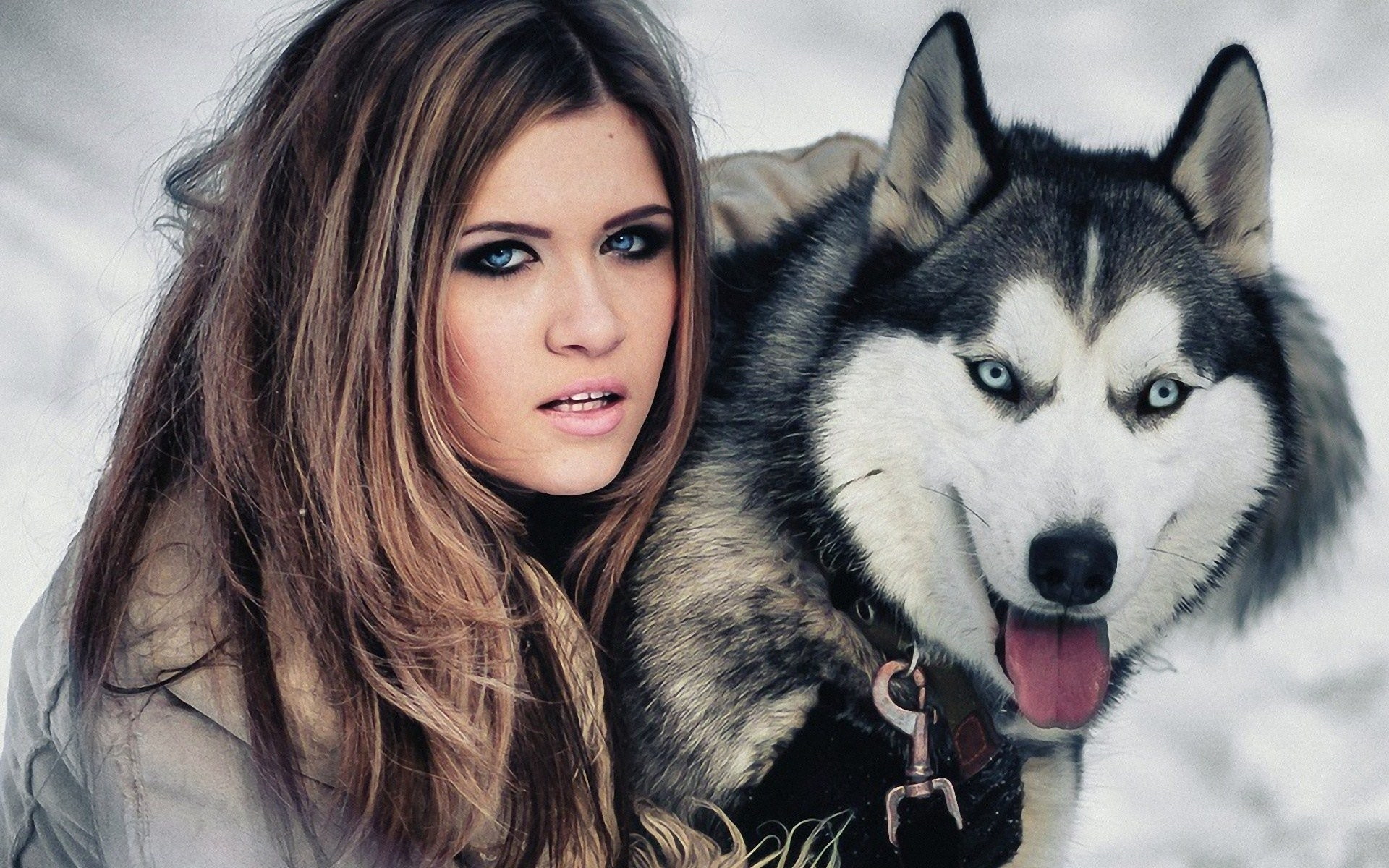 open mouth, model, Siberian Husky, 1080P, dog, brunette, dyed hair, women, looking at viewer, winter, blue eyes, HD Wallpaper