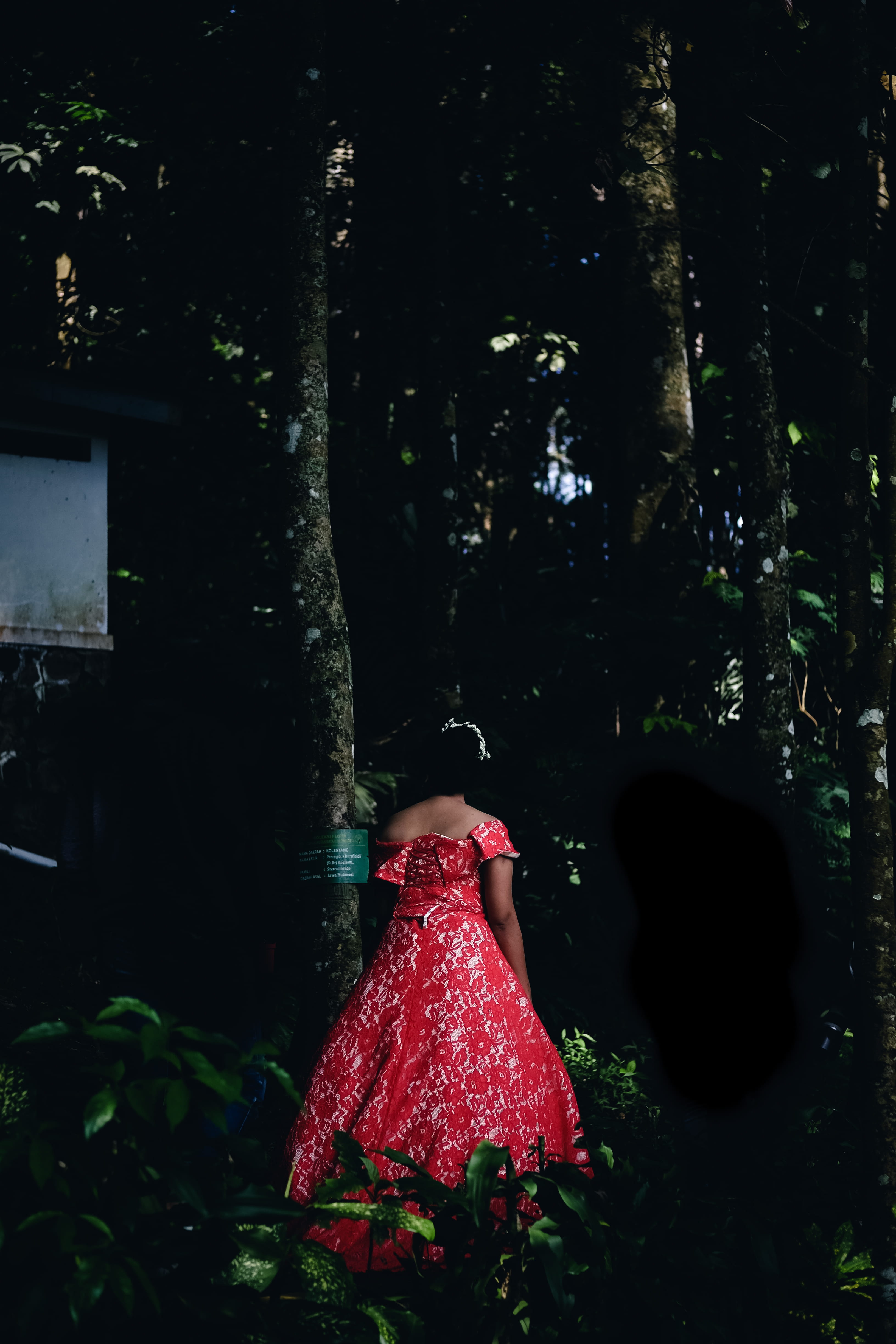 woman, growth, 4K, one person, rear view, nature, forest, outdoors, standing, bride, land, trees, wood, lifestyles, red gown, bandung, women, lost, adult, Phone HD Wallpaper