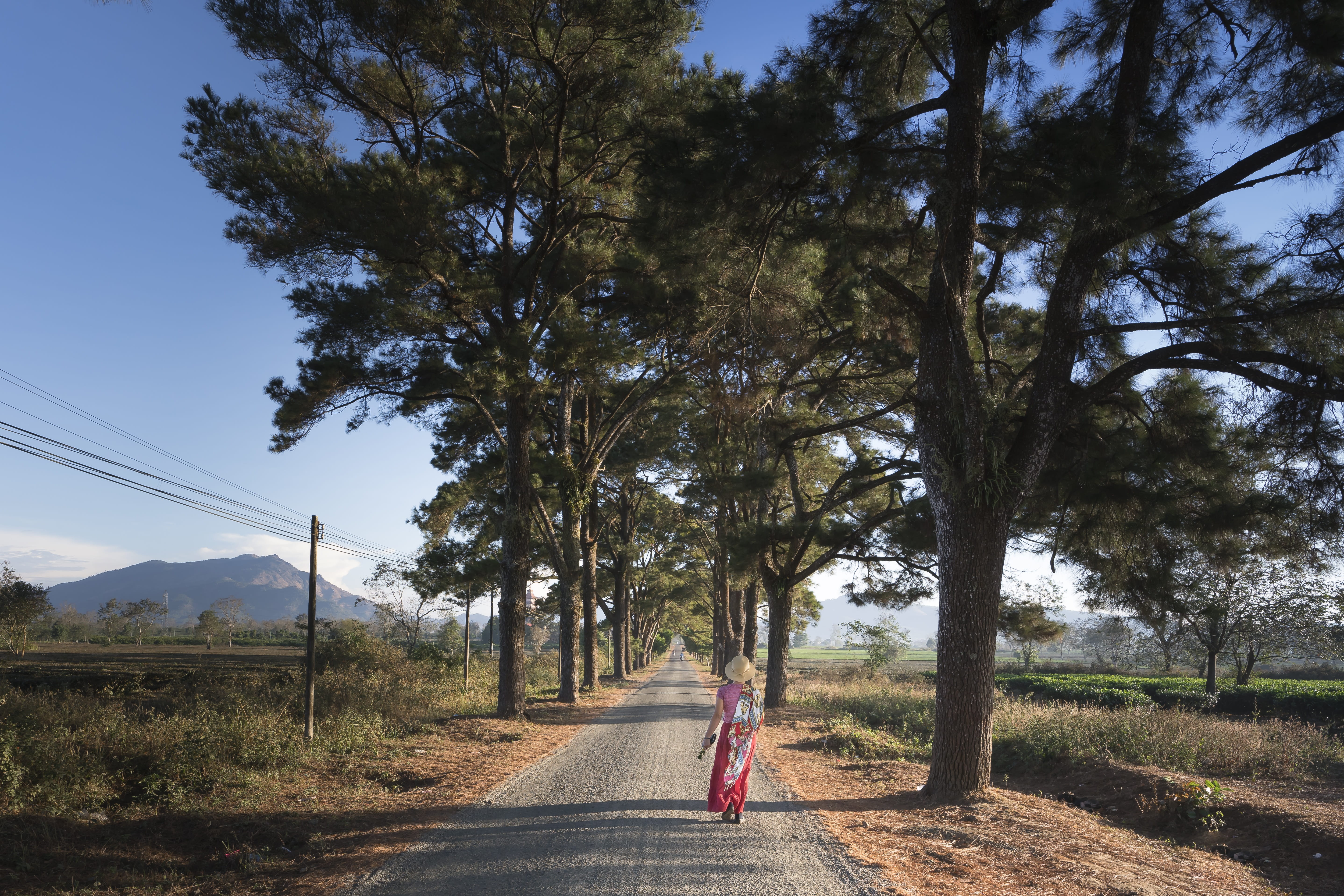outdoors, road, the park, day, real people, country, year, full length, a hundred years, natural, scenic, the morning, the countryside, neck, no one, beauty in nature, HD Wallpaper