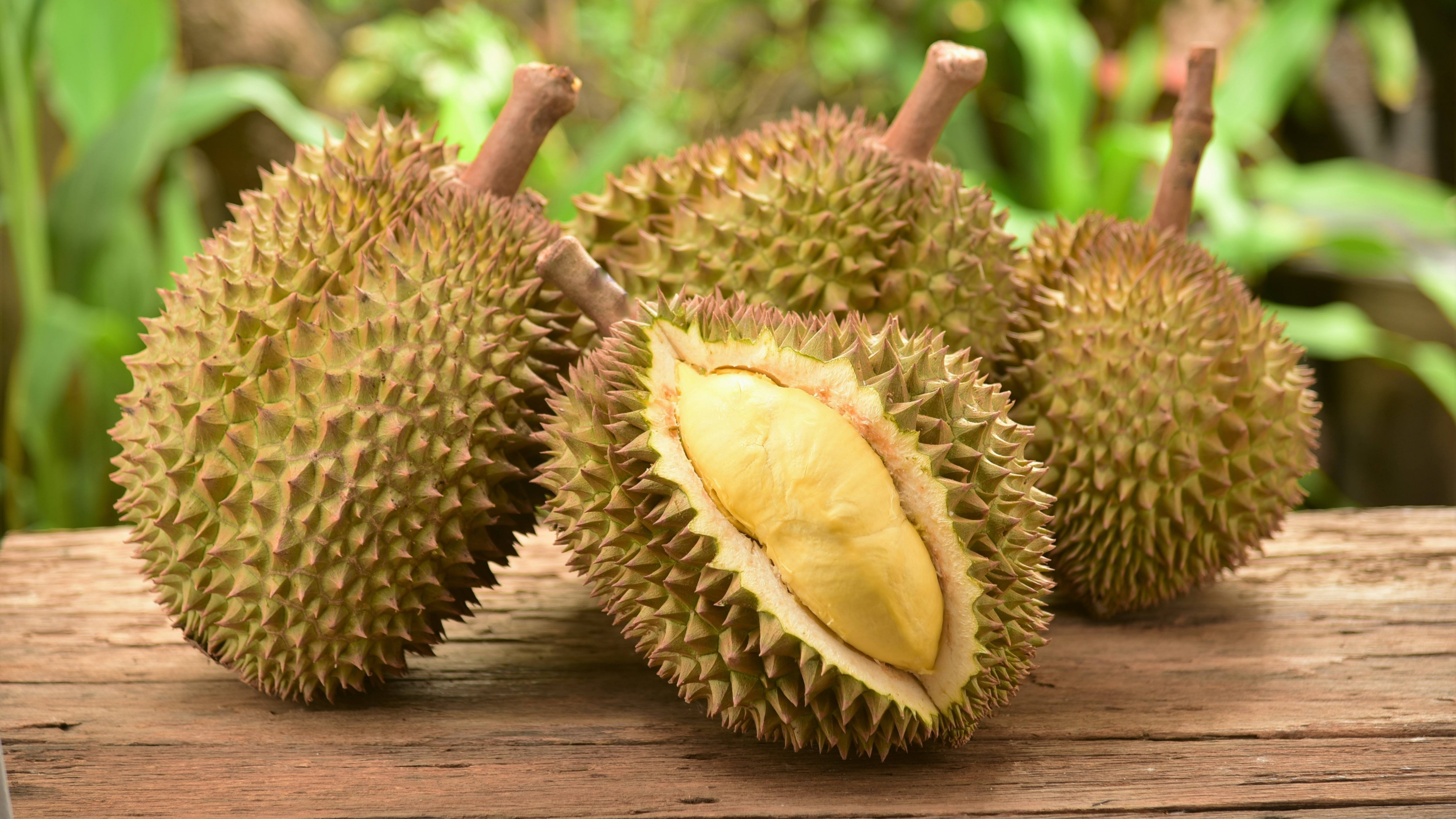 5k, fruit, durian, 5K, HD Wallpaper