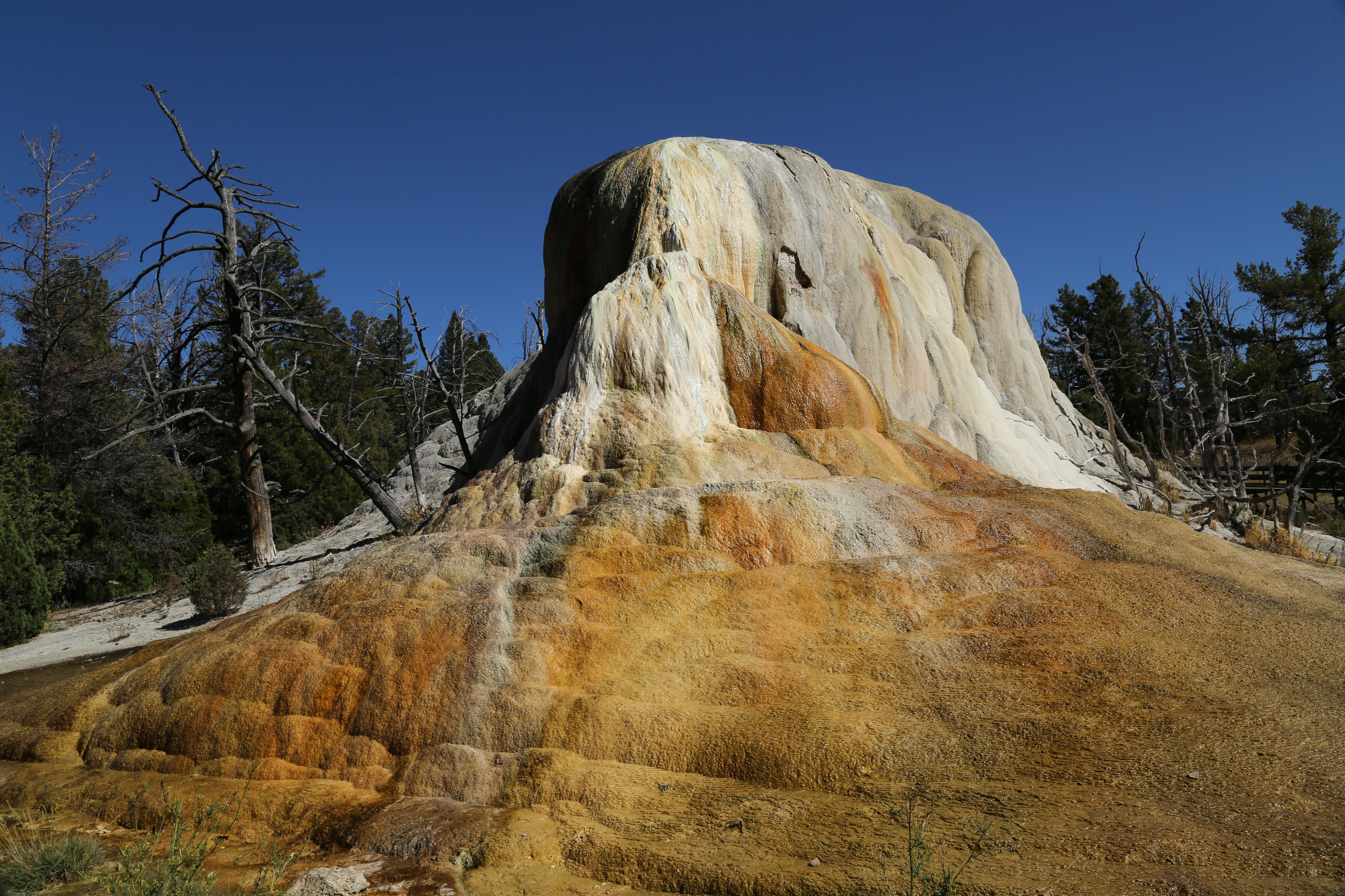 rock formation, eroded, rock - object, rock, nature, clear sky, usa, scenics - nature, plant, landscape, non-urban scene, tree, geyser, environment, travel destinations, HD Wallpaper