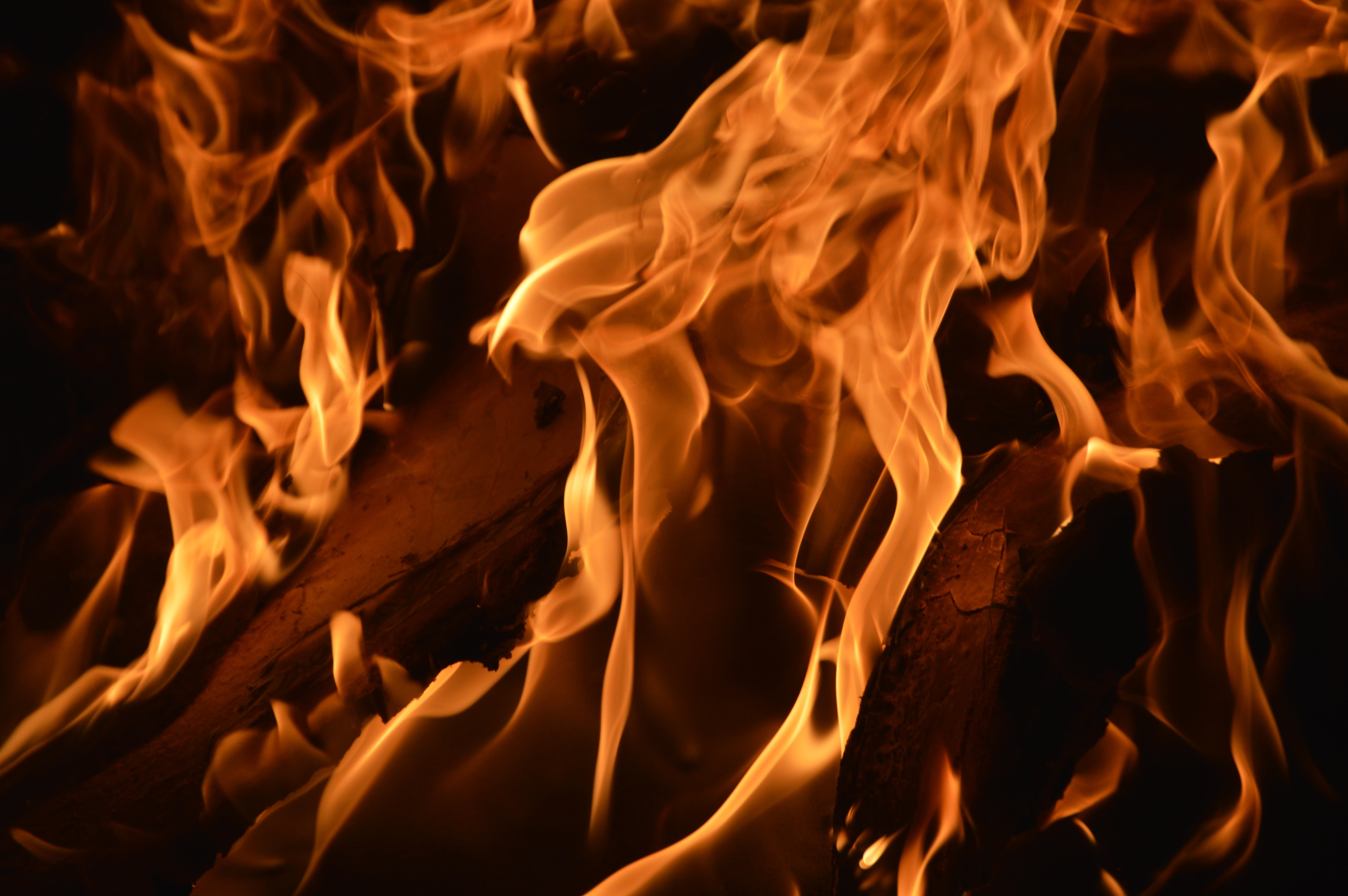 abstract, heat - temperature, motion, glowing, fire - natural phenomenon, textured effect, campfire, black background, sign, orange color, wood - material, HD Wallpaper