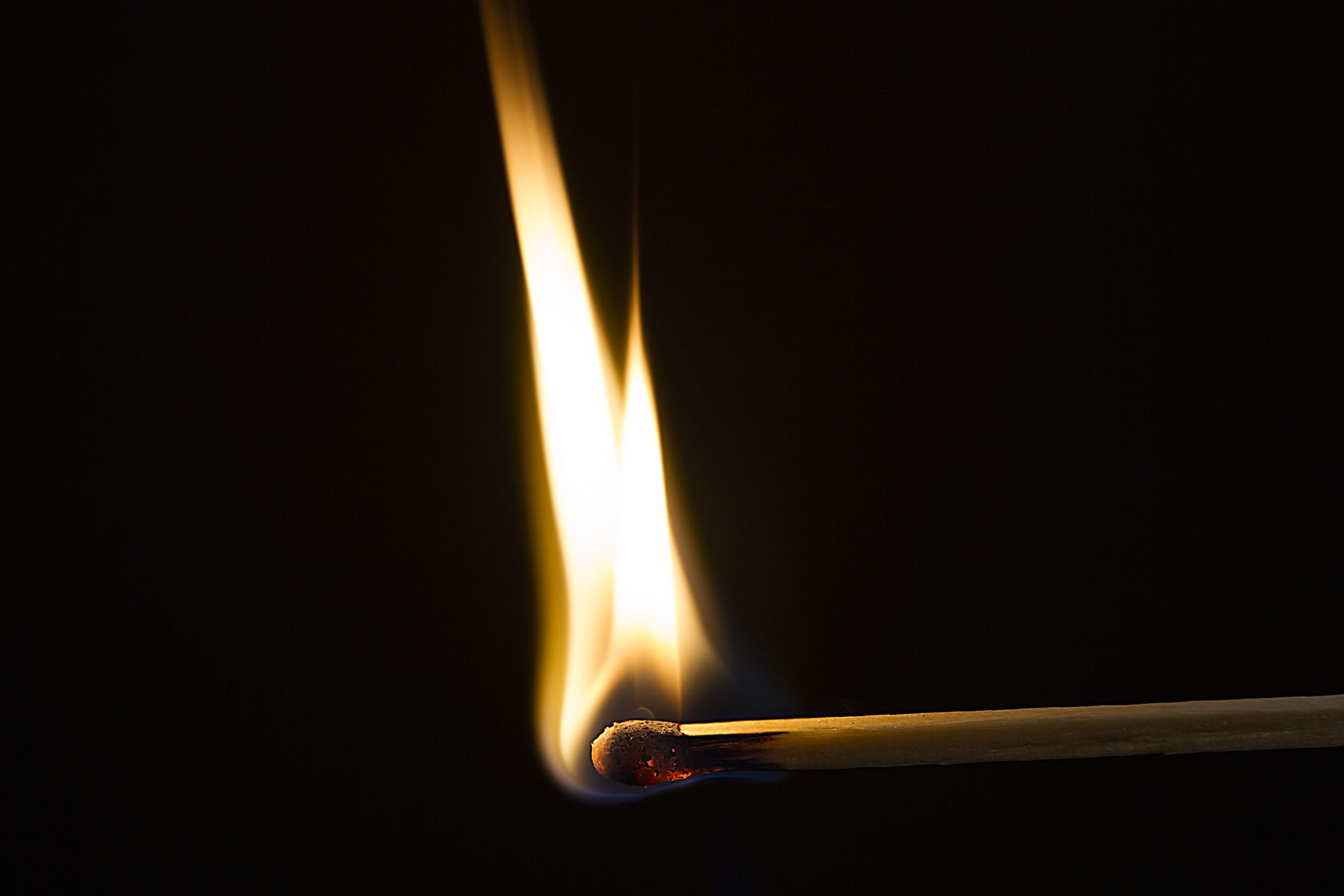 studio shot, no people, Fire, burning, close-up, fire - natural phenomenon, sulfur, Beautiful, fuel and power generation, nature, black background, Burn, HD Wallpaper