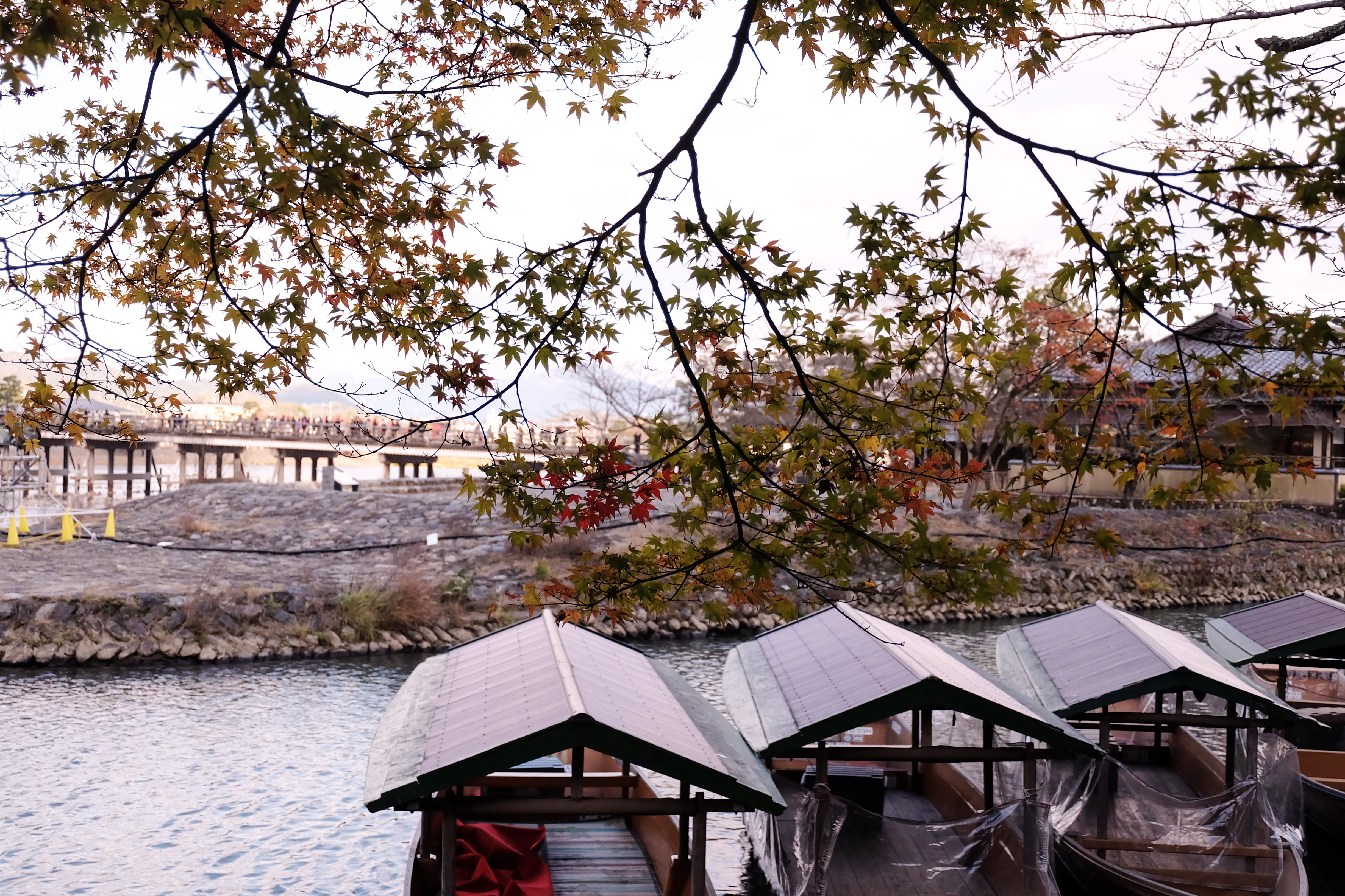 building, building exterior, japanese, beauty in nature, table, no people, growth, sky, warm, architecture, boats, east asia, 4K, kyoto, branch, travel, HD Wallpaper