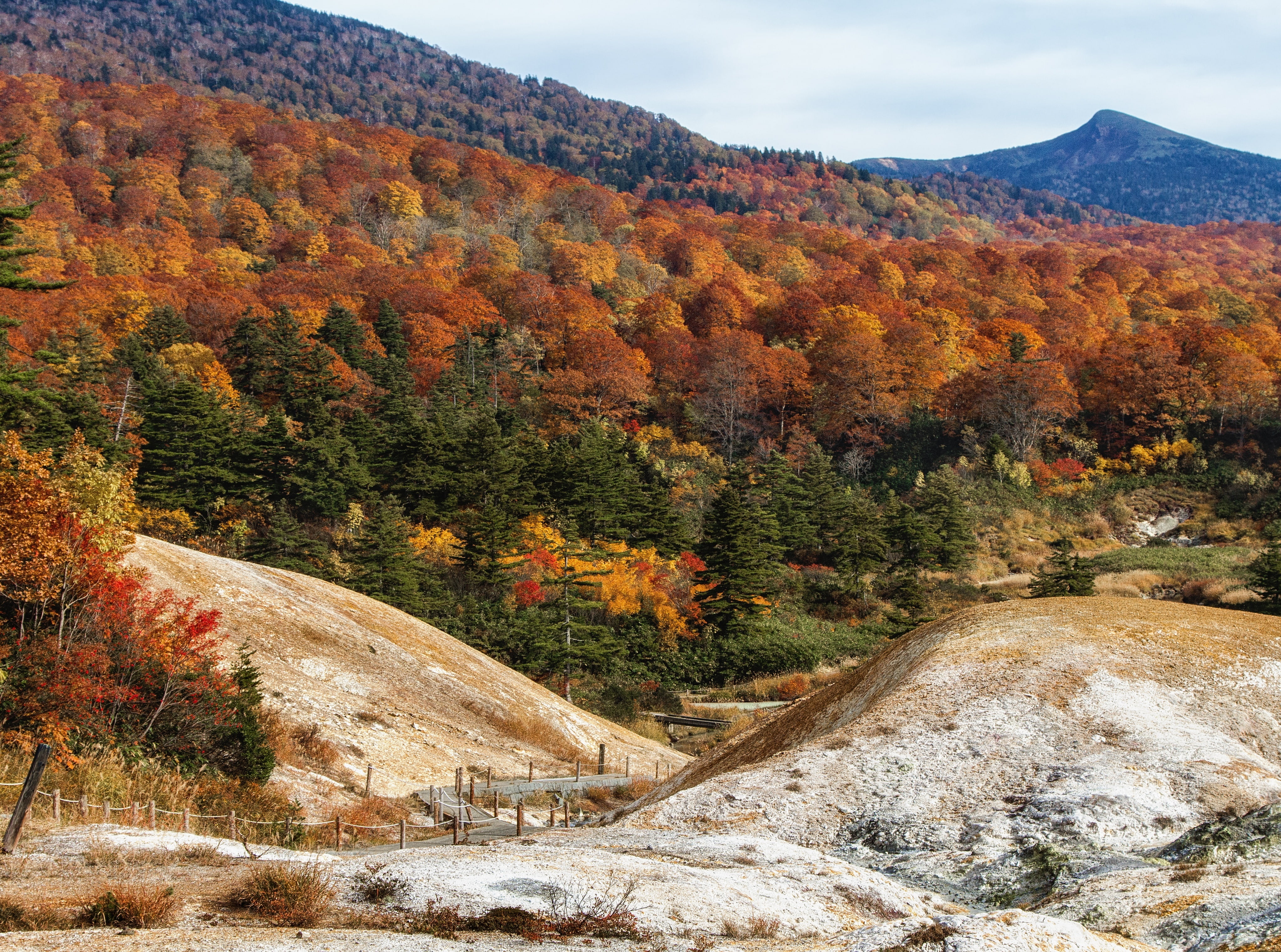 non-urban scene, Colorful, onsen, kazuno, Autumn, 4K, no people, Japan, Asia, growth, beauty in nature, Reyes, goshogakeonsen, day, sky, outdoors, Rafael, HD Wallpaper