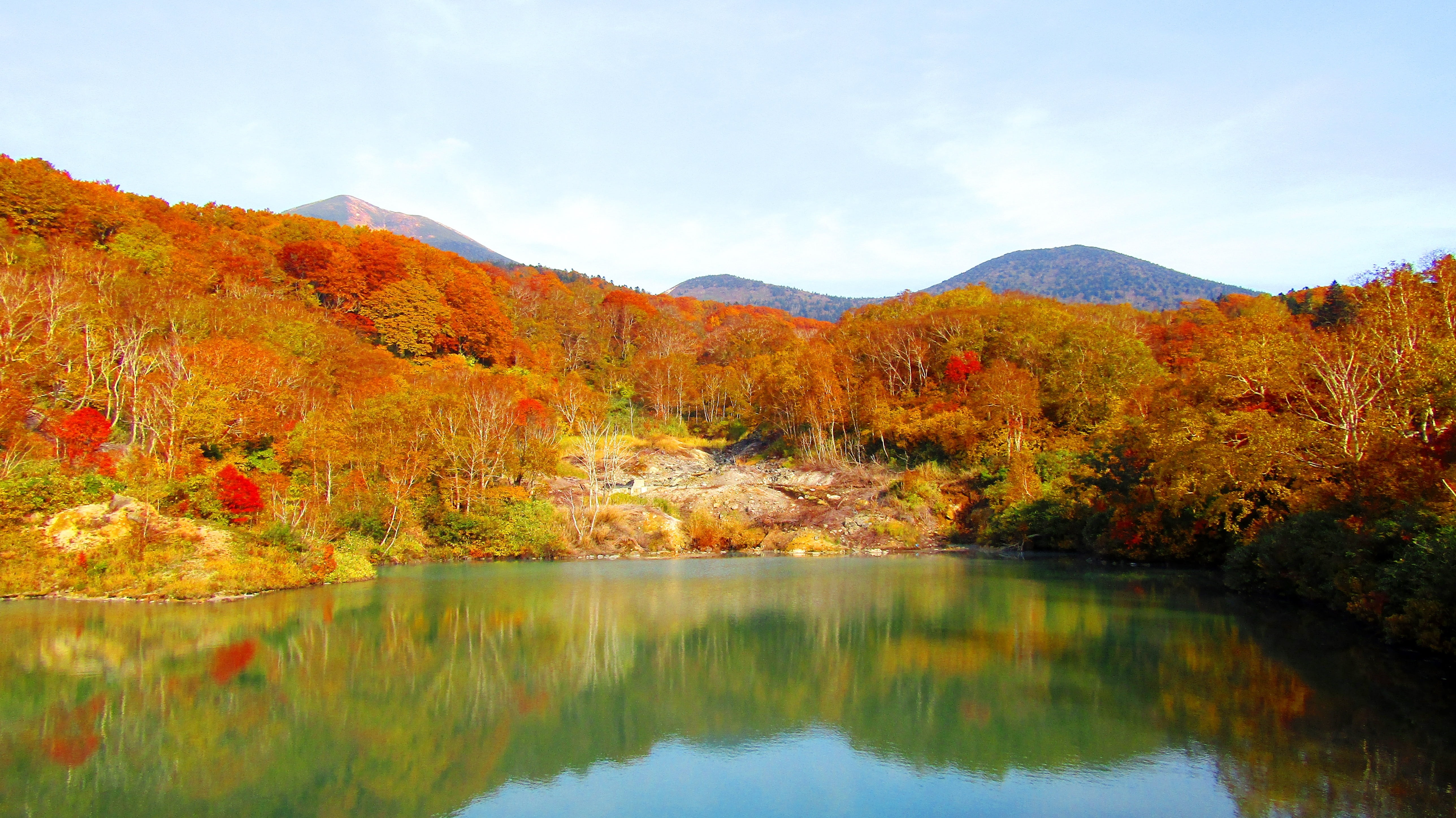 water, sulfur, fall of japan, tranquil scene, beauty In Nature, tranquility, scenics - nature, sky, 5K, pond, orange Color, plant part, maple tree, yellow, HD Wallpaper