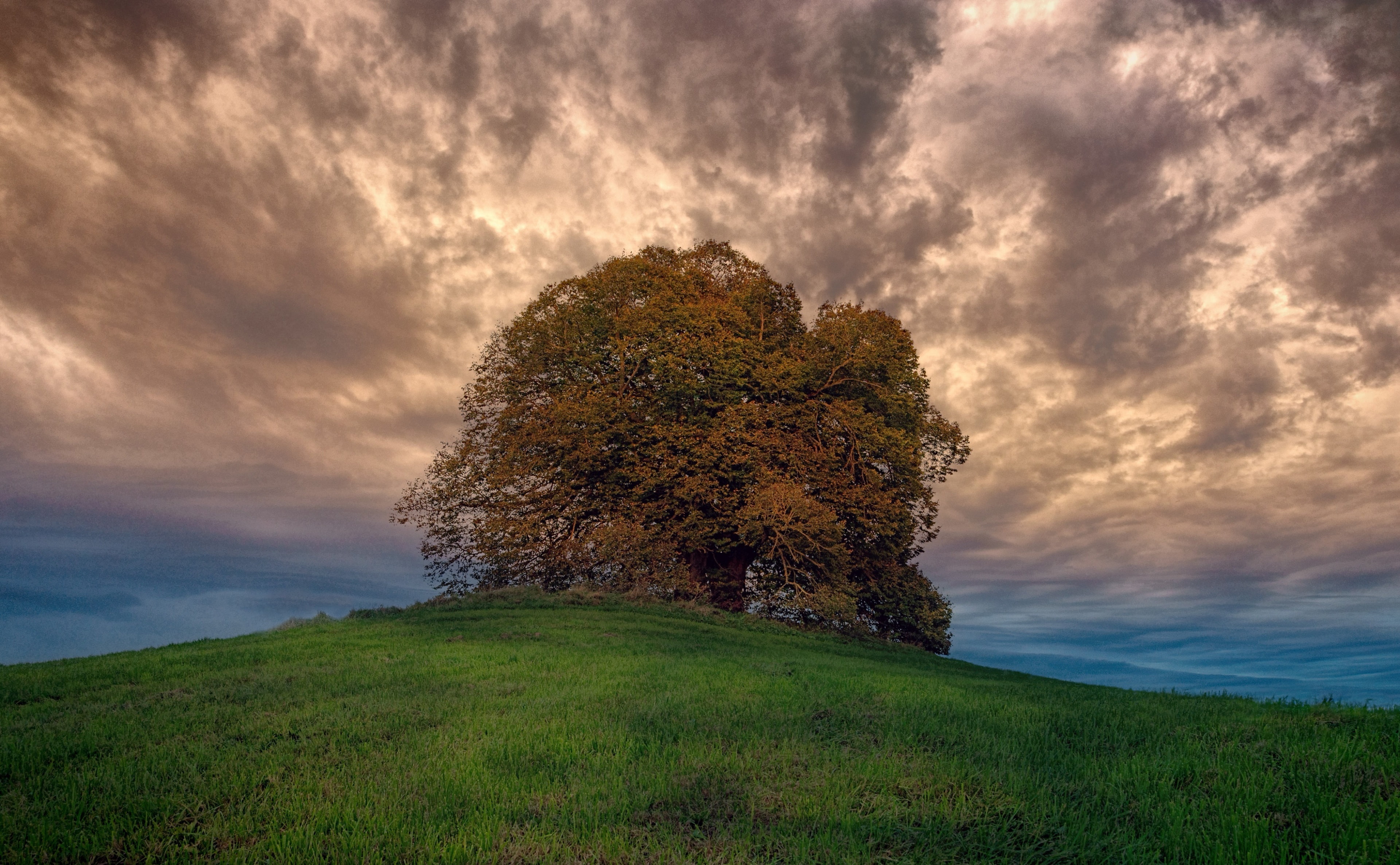 outdoors, Hill, growth, no people, cloudy, environment, Dramatic, field, Tree, cloud - sky, Clouds, Dark, stormclouds, Photography, green color, beauty in nature, HD Wallpaper