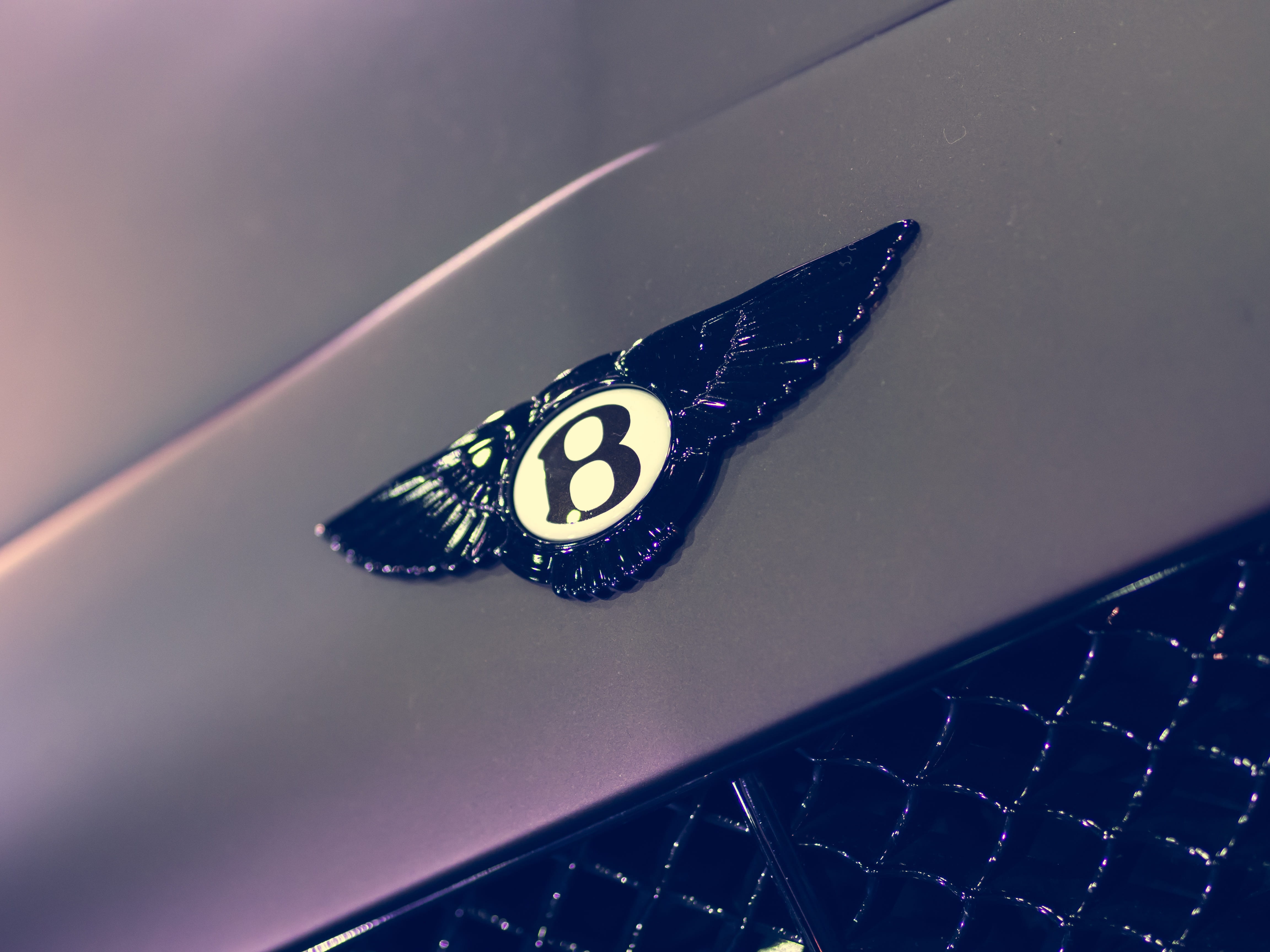4K, tuning, animal body part, animal wildlife, sport, representation, nature, butterfly, animal, one animal, butterfly - insect, close-up, retro, animals in the wild, HD Wallpaper
