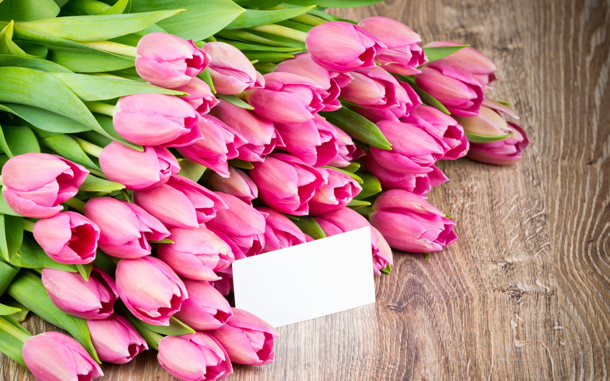 2K, Tulips, Pink, Flowers, Bouquet, HD Wallpaper