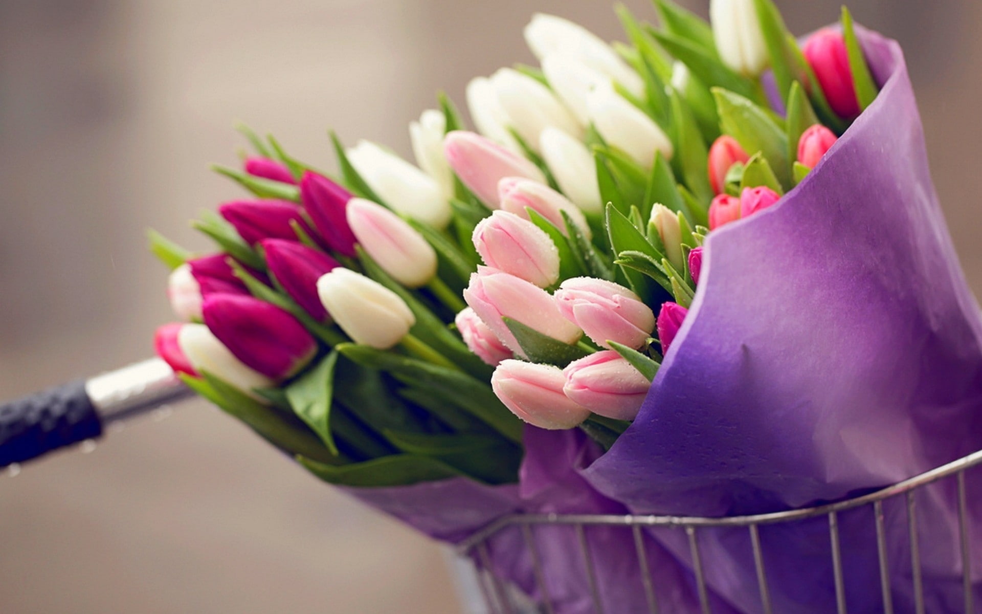 1080P, tulips, bouquets, HD Wallpaper