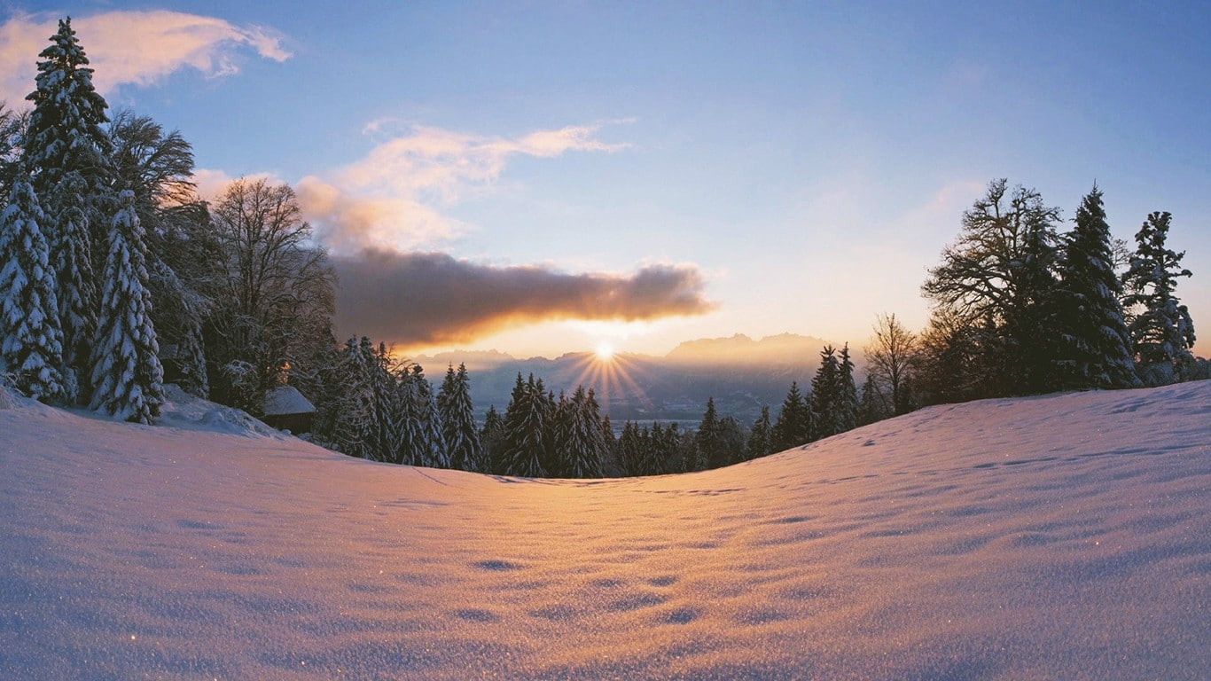 beauty in nature, winter, no people, sunlight, sky, environment, non-urban scene, lens flare, nature, sun, outdoors, land, pine tree, tranquil scene, landscape, HD Wallpaper