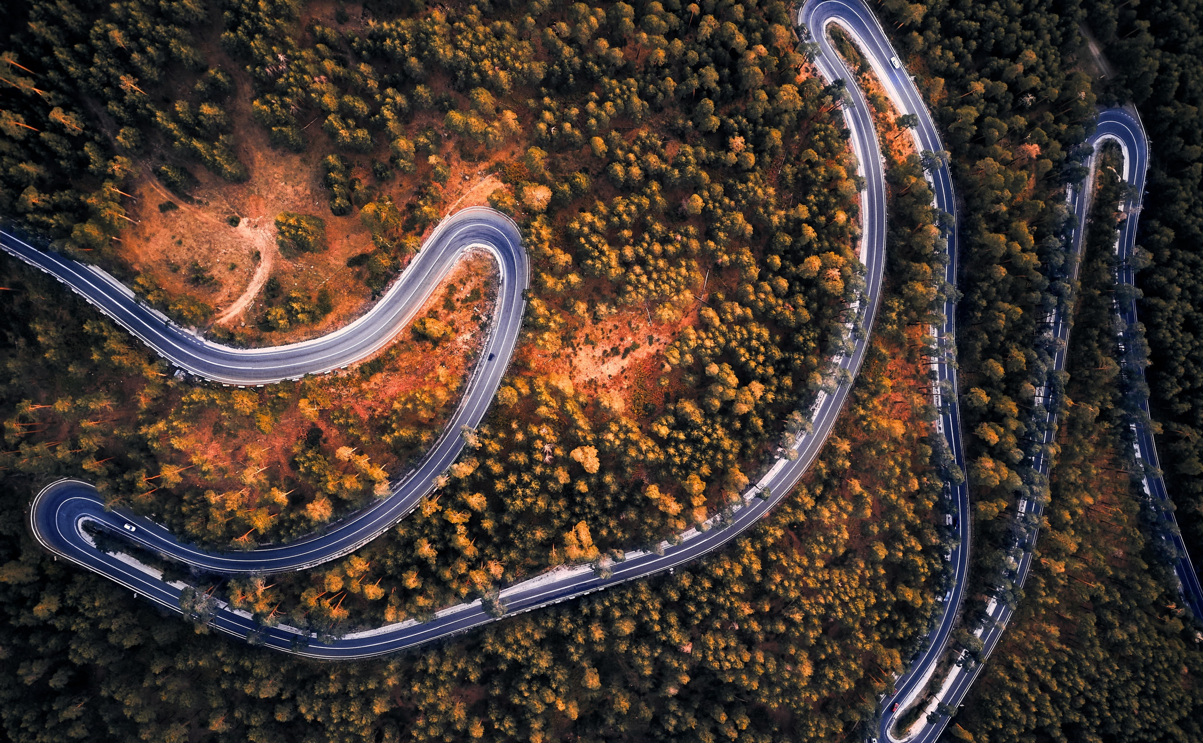 castilleandleon, curve, SanIldefonso, beauty in nature, sunlight, plant, 4K, autumn, land, Aerial, day, Road, bicycle, DronePhotography, Forest, mode of transportation, HD Wallpaper