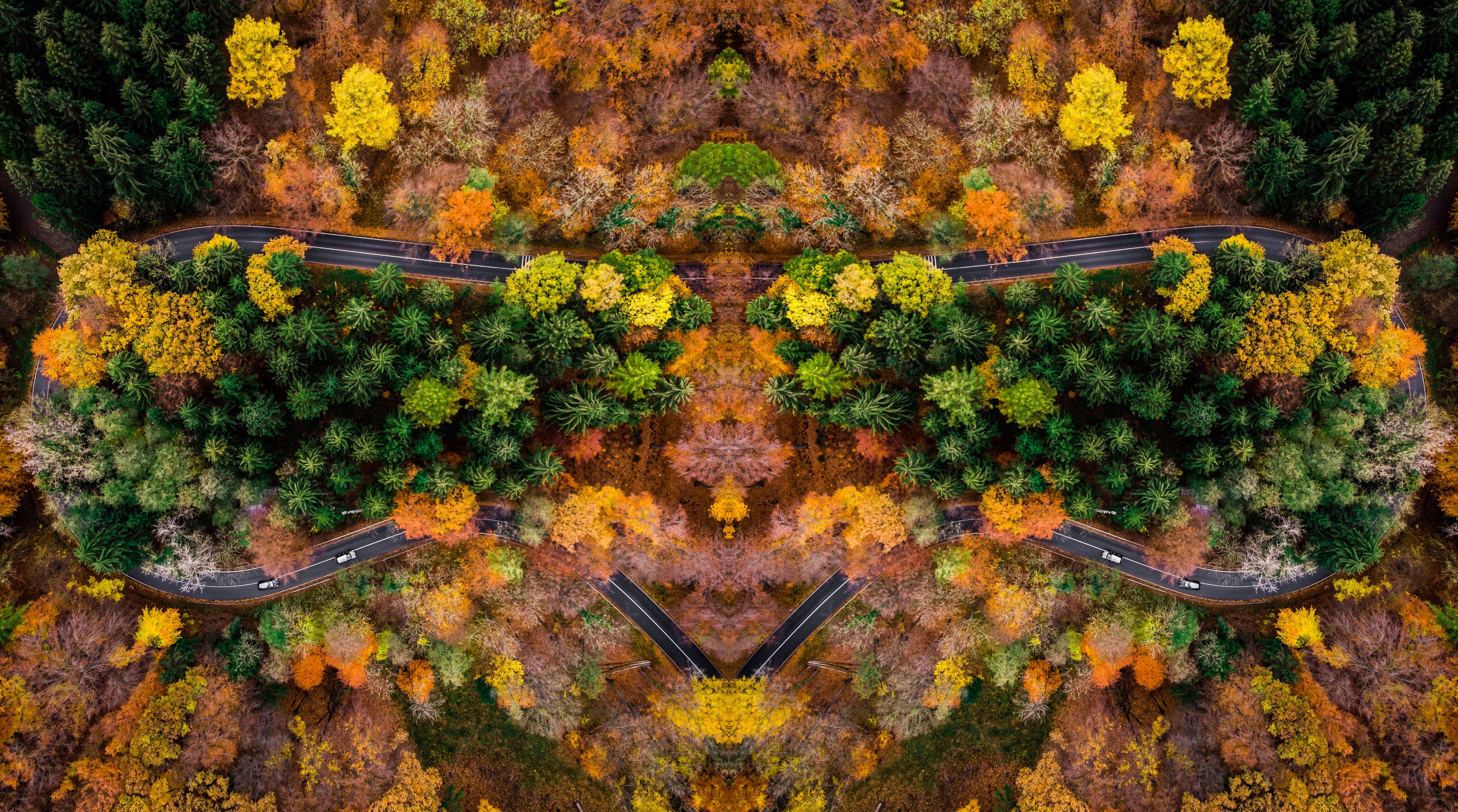 germany, Autumn, mavicair, 5K, dronepilot, roadrace, forest, Seasons, symetric, shot, drone, dronephotography, HD Wallpaper