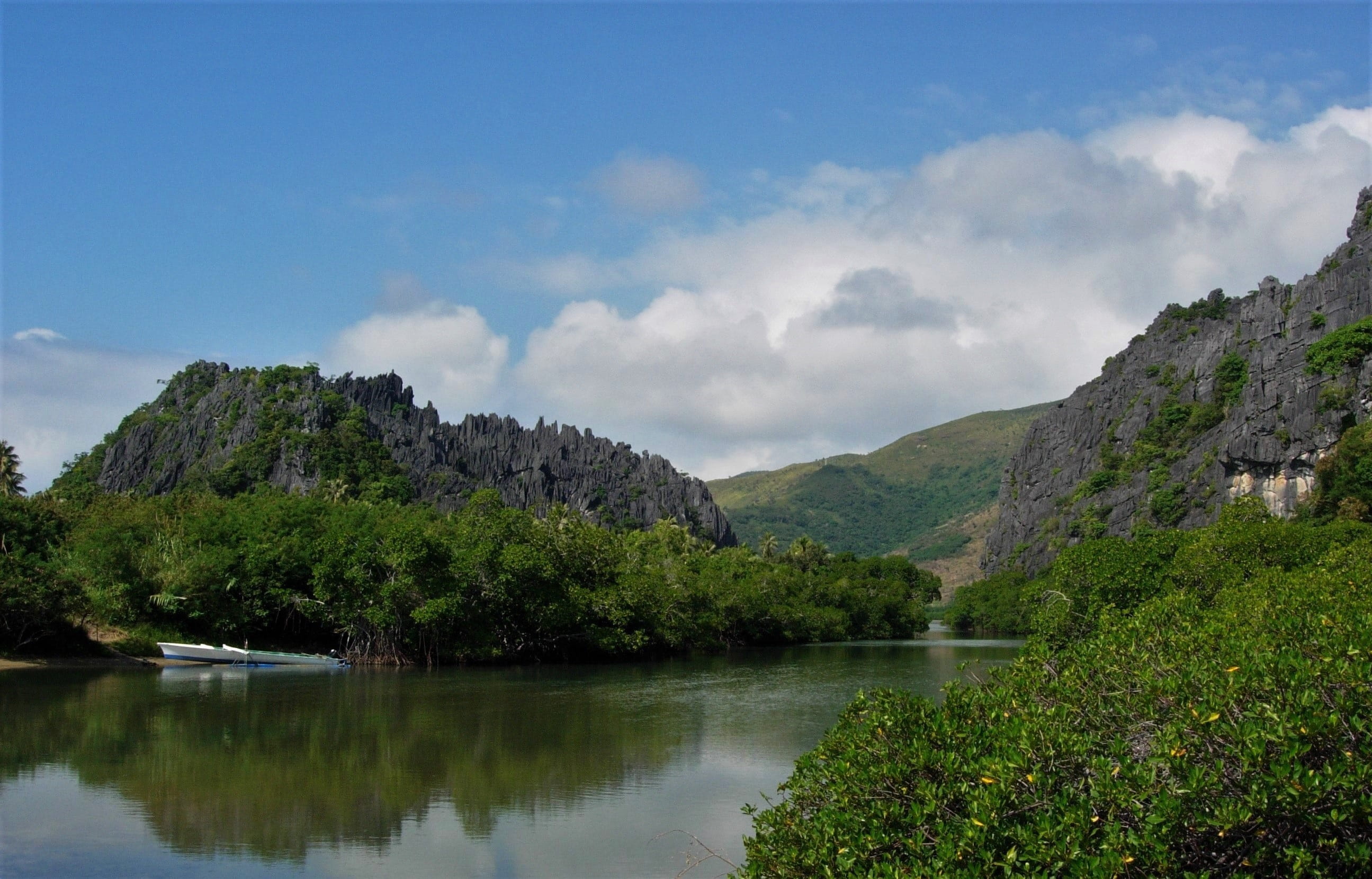 lake, pine woodland, nature, lindéralique, tree, outdoors, cloud - sky, basalt columns, caledonia, no people, mountain, water, ralique, 2K, tropical landscape, HD Wallpaper