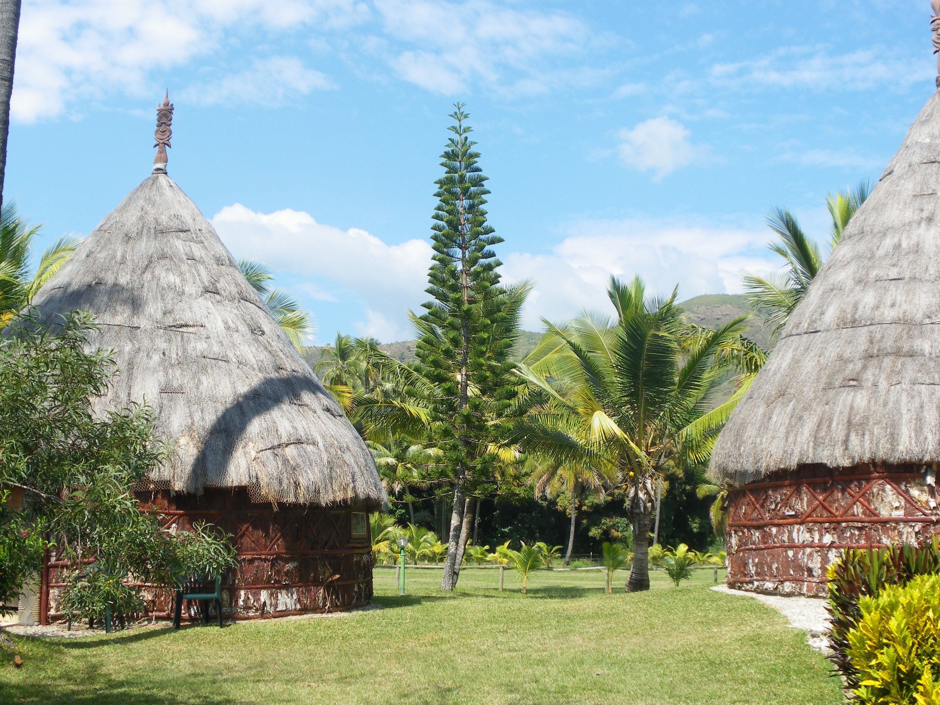 2K, coconut, straw, day, outdoors, thatched roof, growth, sky, roof, no people, green color, cloud - sky, grass, tree, beauty in nature, land, new caledonia, HD Wallpaper