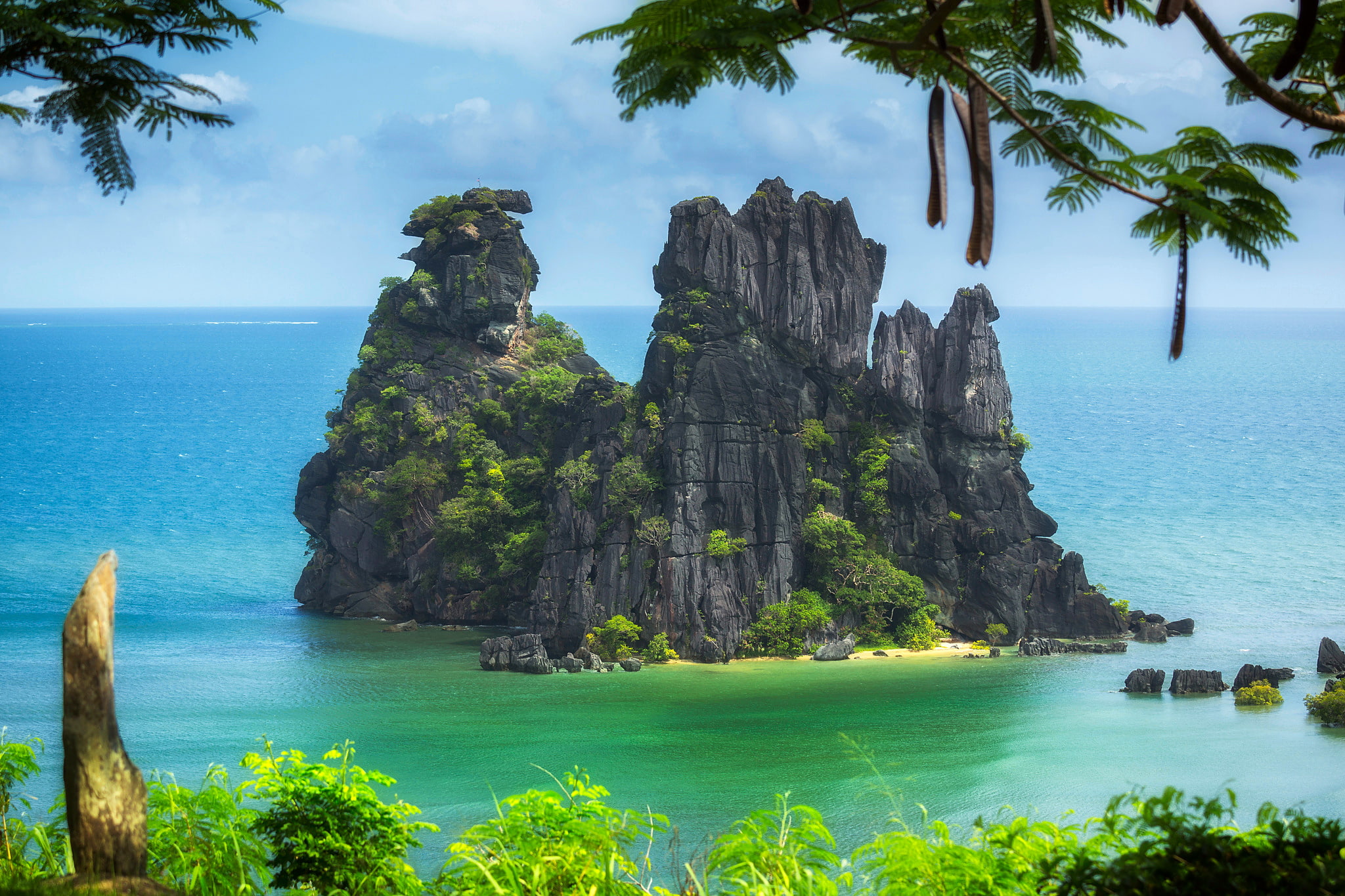 island, trees, branches, rocks, 1080P, New Caledonia, The Pacific ocean, HD Wallpaper