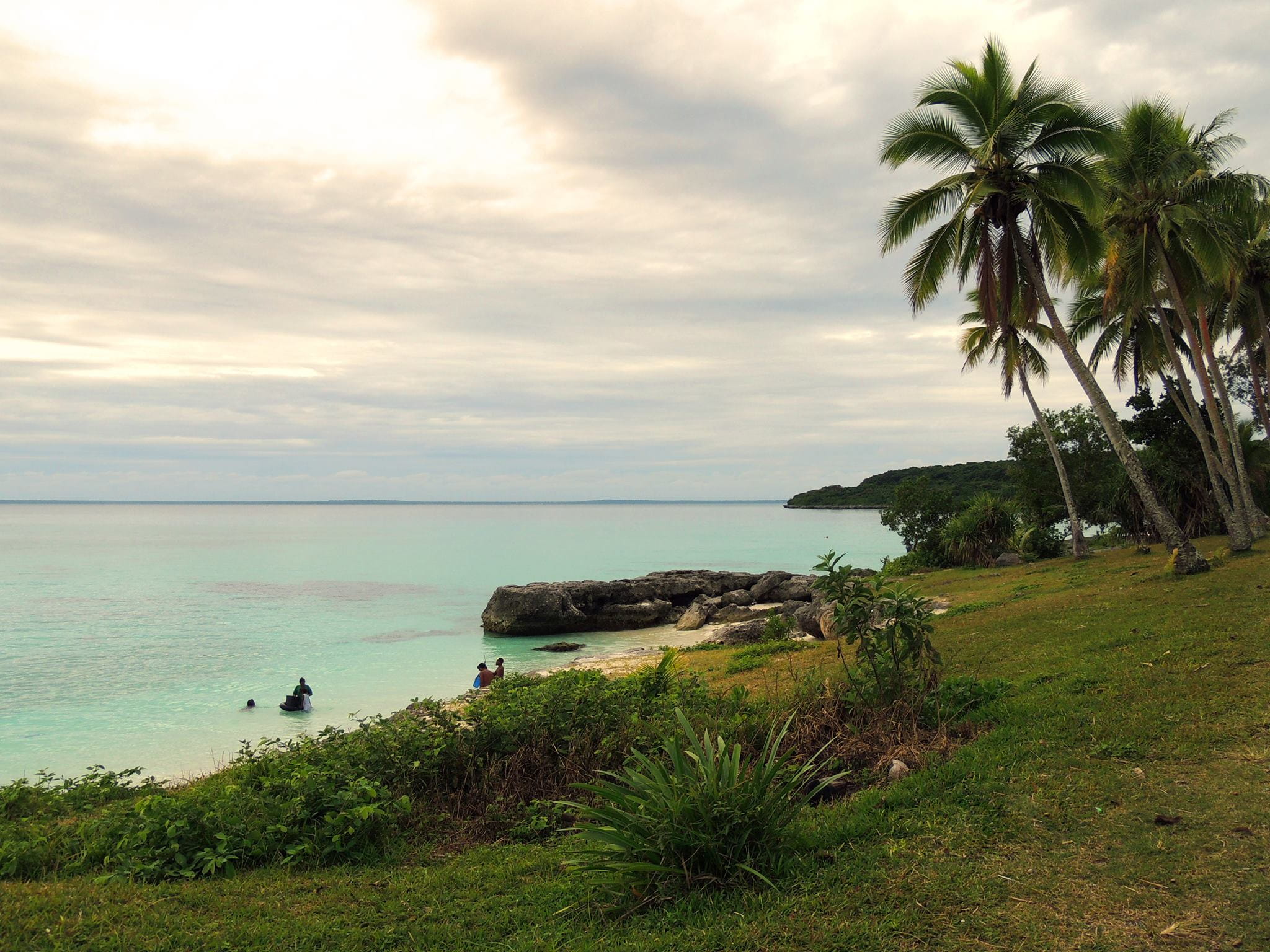 tropical climate, lifou, grass, cloud - sky, coconut palm tree, growth, tranquility, paradise, sky, outdoors, 1080P, new caledonia, land, scenics - nature, HD Wallpaper
