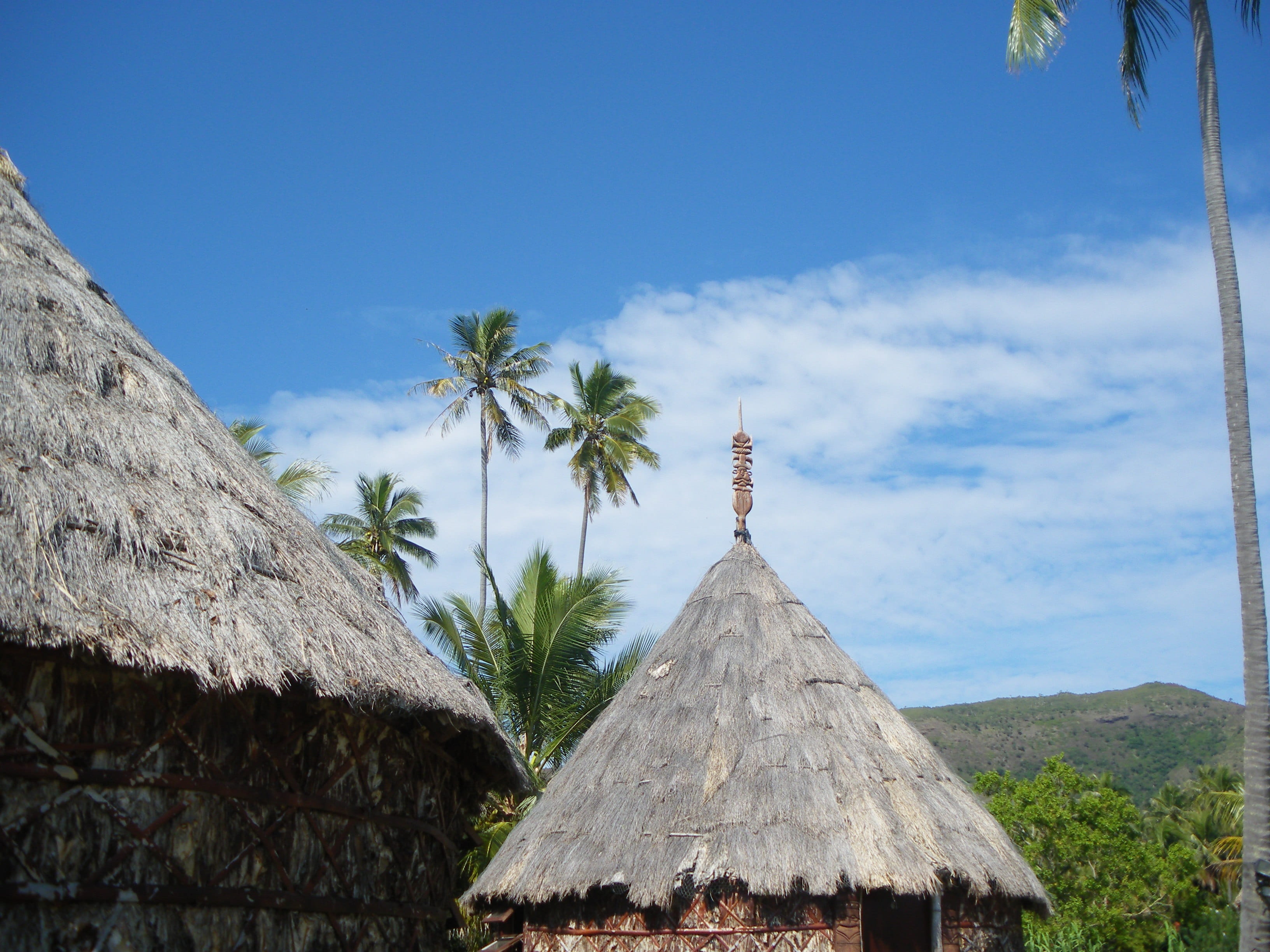 hut, sky, Box, roof, nature, cloud - sky, day, plant, coconut palm tree, New Caledonia, blue, thatched roof, house, outdoors, tree, architecture, tropical climate, HD Wallpaper