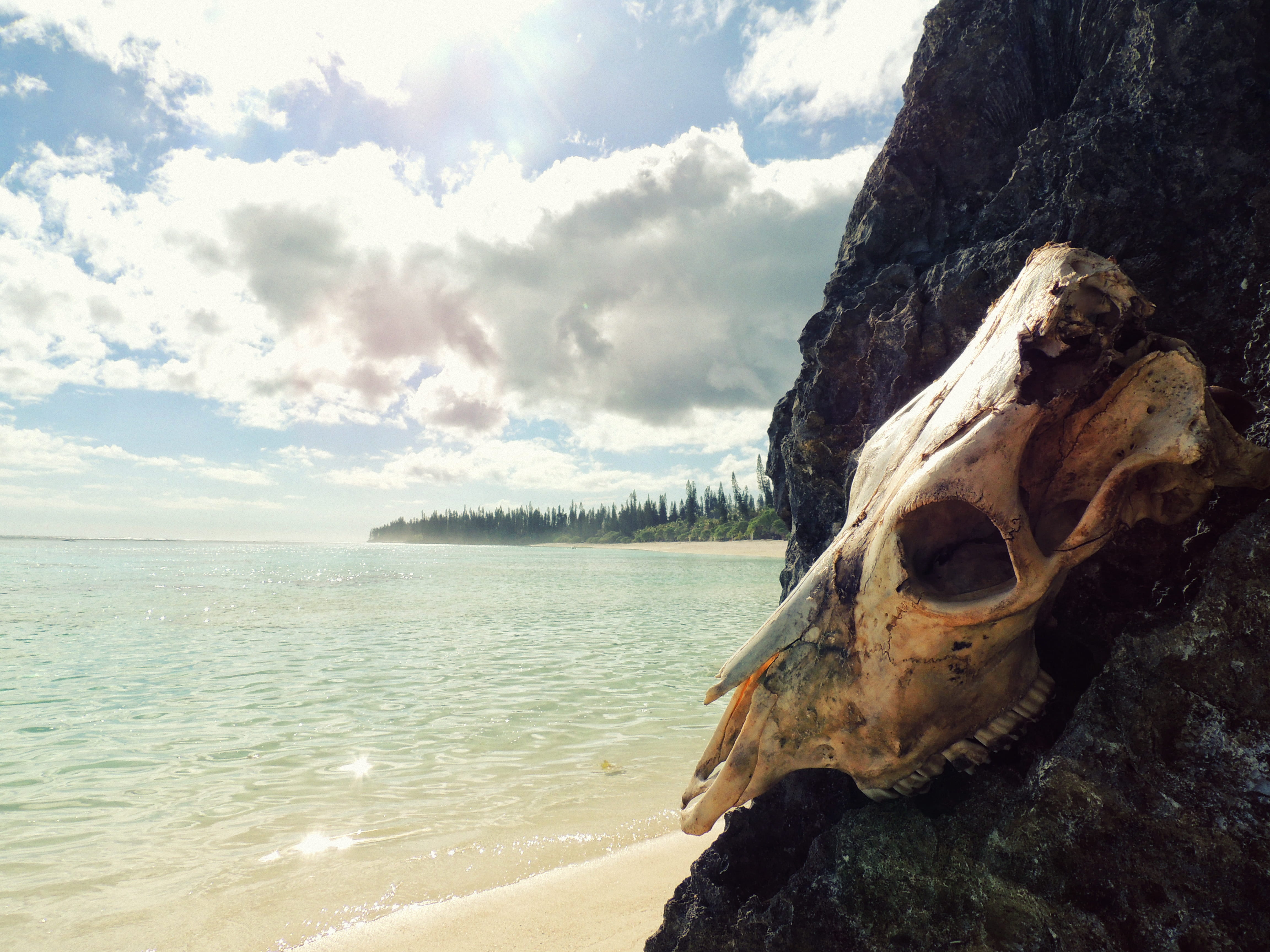tranquility, non-urban scene, nature, paradise, day, 4K, new caledonia (mare), sky, outdoors, beauty in nature, no people, maré, skull, water, tranquil scene, HD Wallpaper