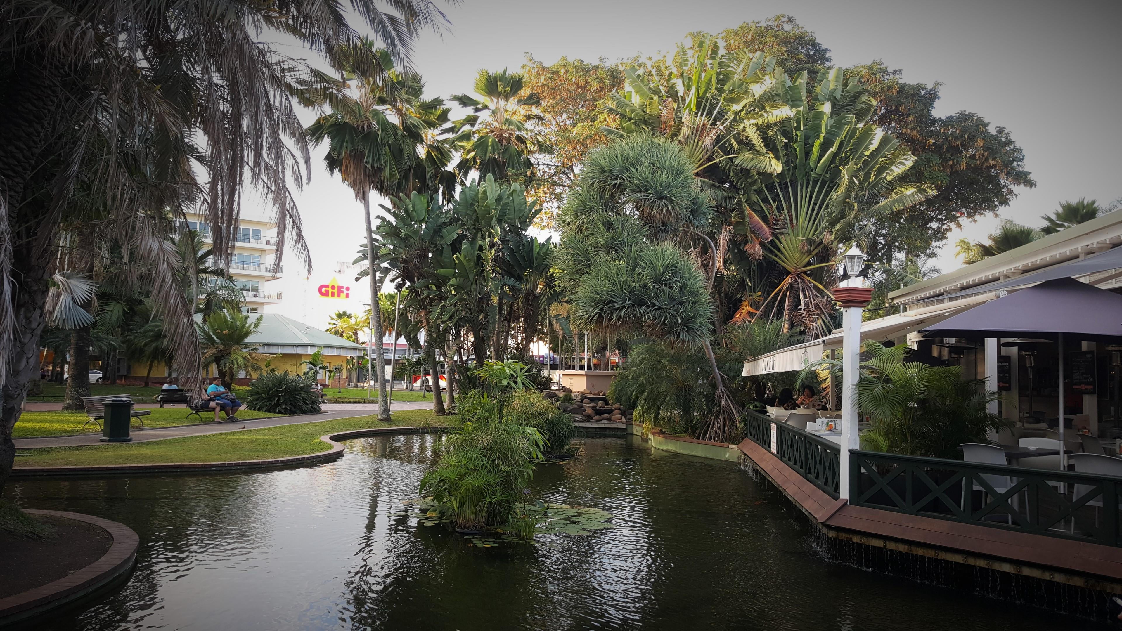 water, outdoors, waterfront, incidental people, nature, marne place, plant, day, growth, building exterior, life, tropical climate, palm tree, tree, park, HD Wallpaper