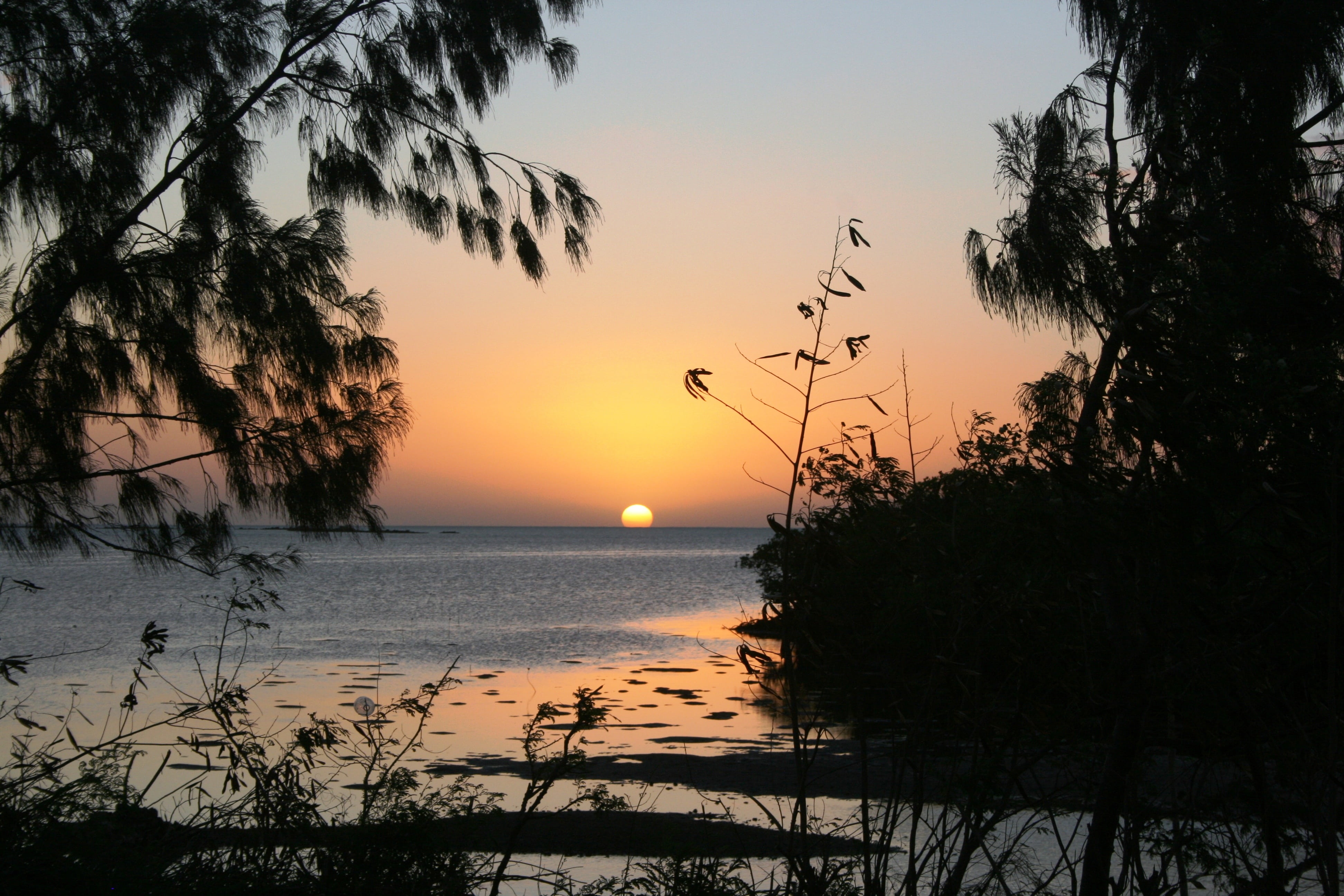 tree, sunset, scenics - nature, beauty in nature, relax, sun kisses water, new caledonia, outdoors, 4K, beach, travel, orange color, tranquil scene, sky, HD Wallpaper