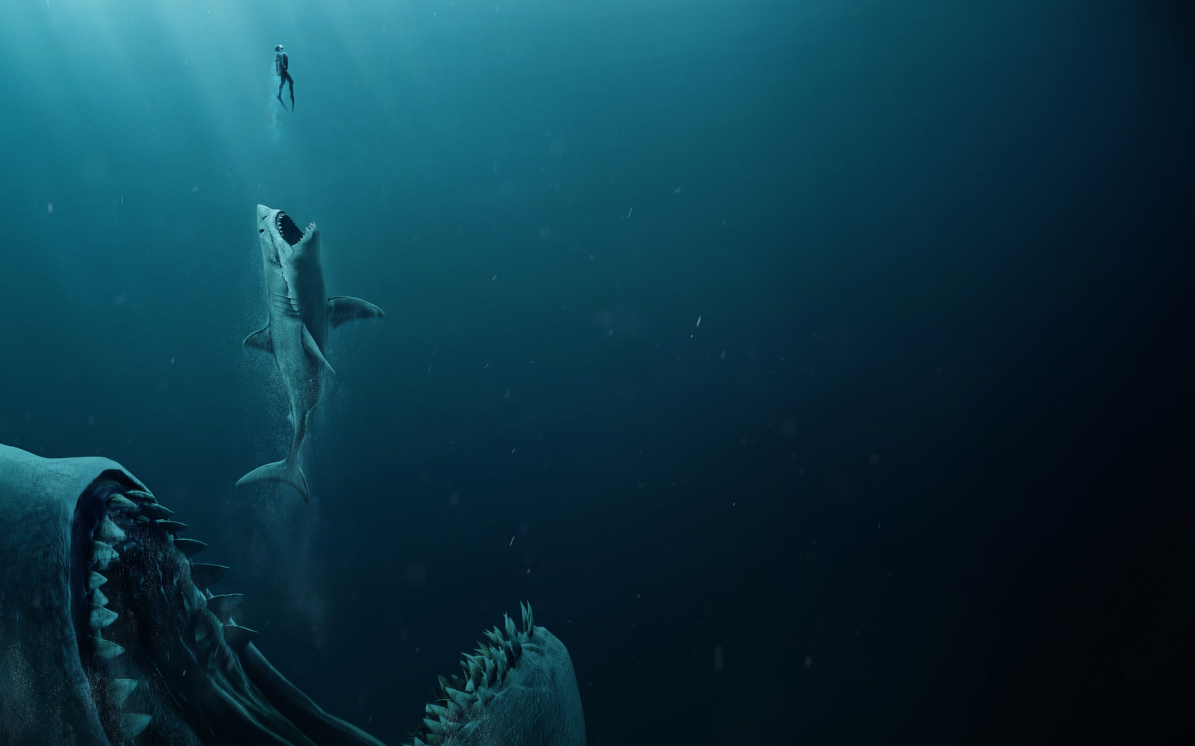 Meg, The, 4K, 2018, k, HD Wallpaper