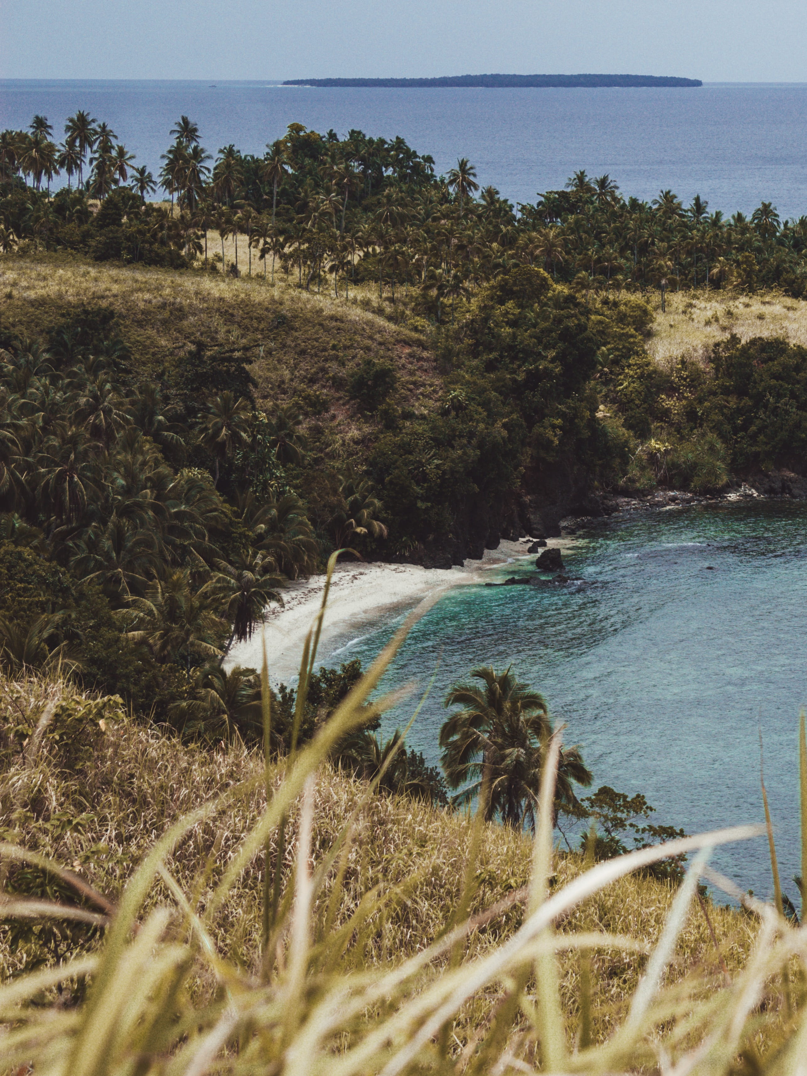 beach, the beach, green, plant, outdoors, nature, day, corregidor island, paradise, ocean, perfect beach, sea, sand, philippines, scenics - nature, general luna, Phone HD Wallpaper