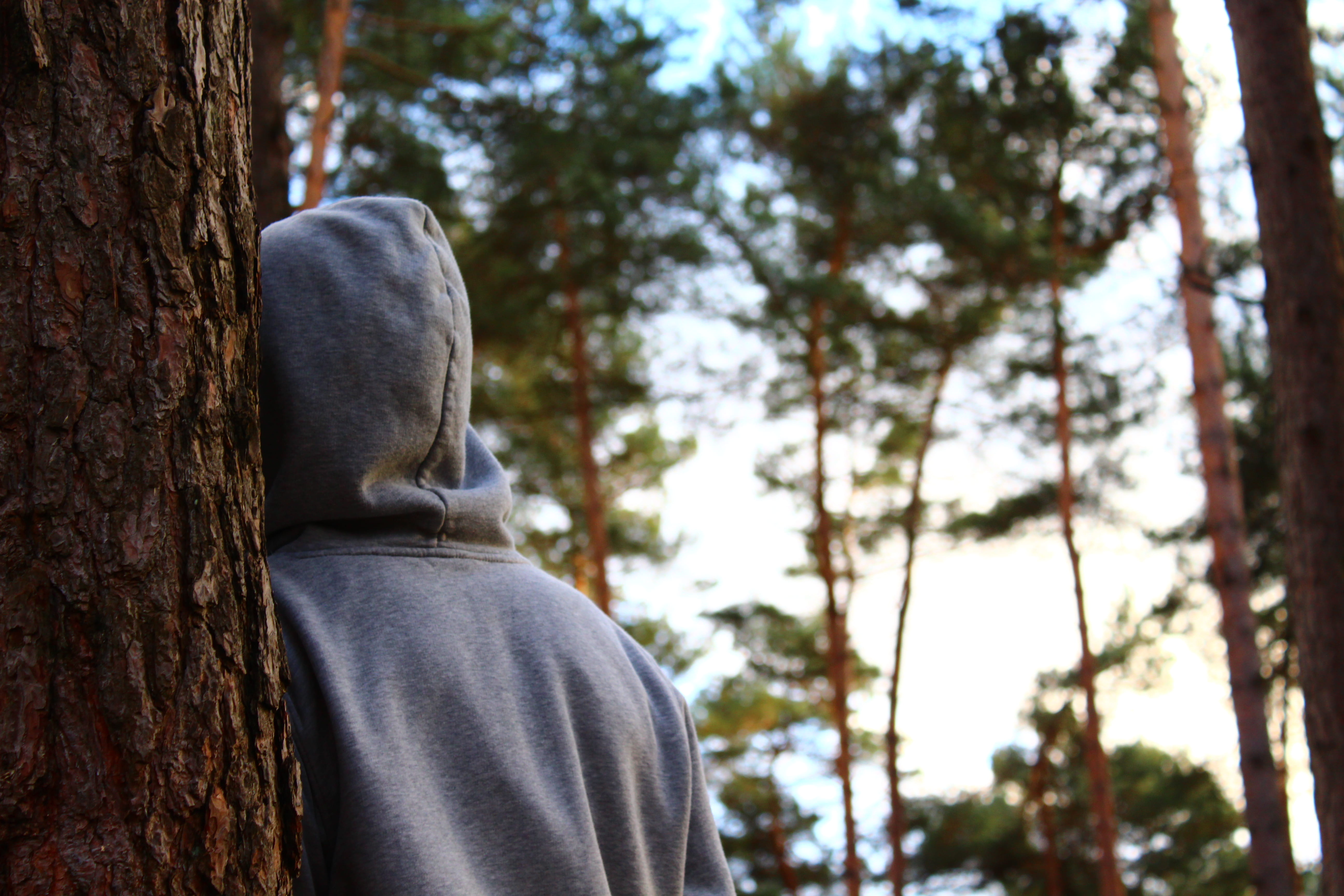 belgium, body part, human body part, leisure activity, rear view, lifestyles, real people, nature, forrest, forest, hoodie, unrecognizable person, kasterlee, HD Wallpaper