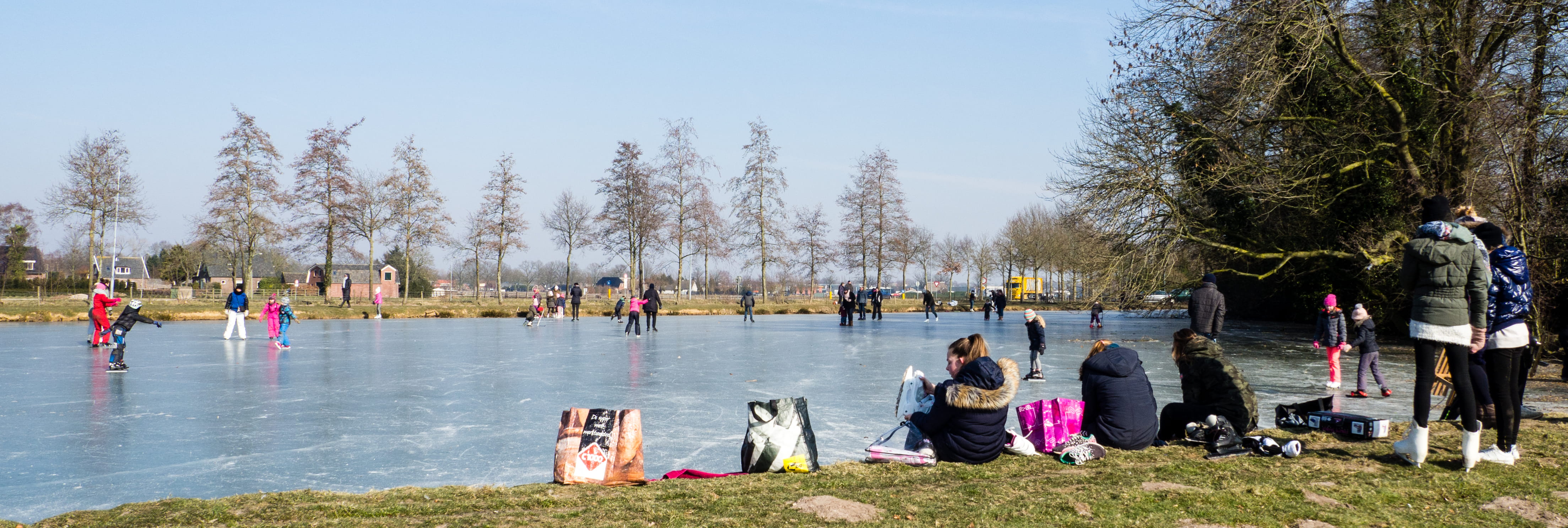 clear sky, vaassen, iceskating, outdoors, netherlands, gelderland, real people, large group of people, zing, sitting, schaatsen, ice, lifestyles, tree, HD Wallpaper