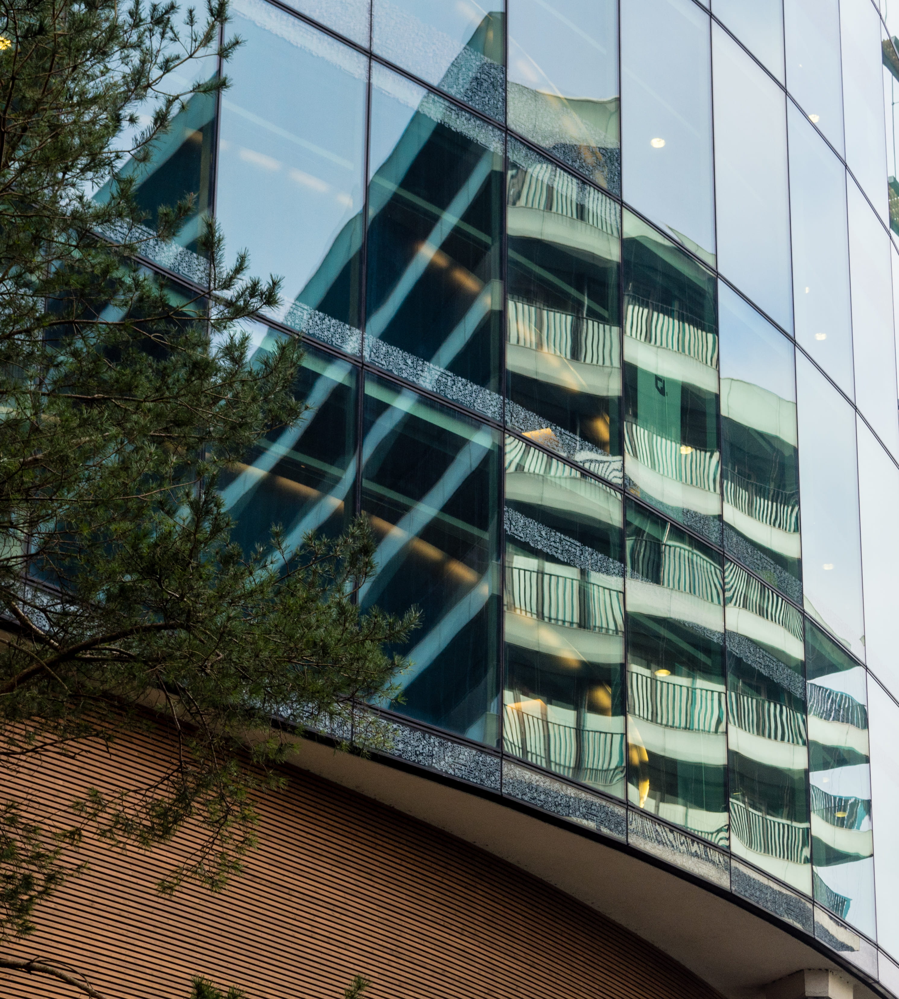 texture, low angle view, tree, office, modern, building, day, daytime, sky, nature, apartment, built structure, outdoors, walterboscomplex, apeldoorn, closeup, Phone HD Wallpaper