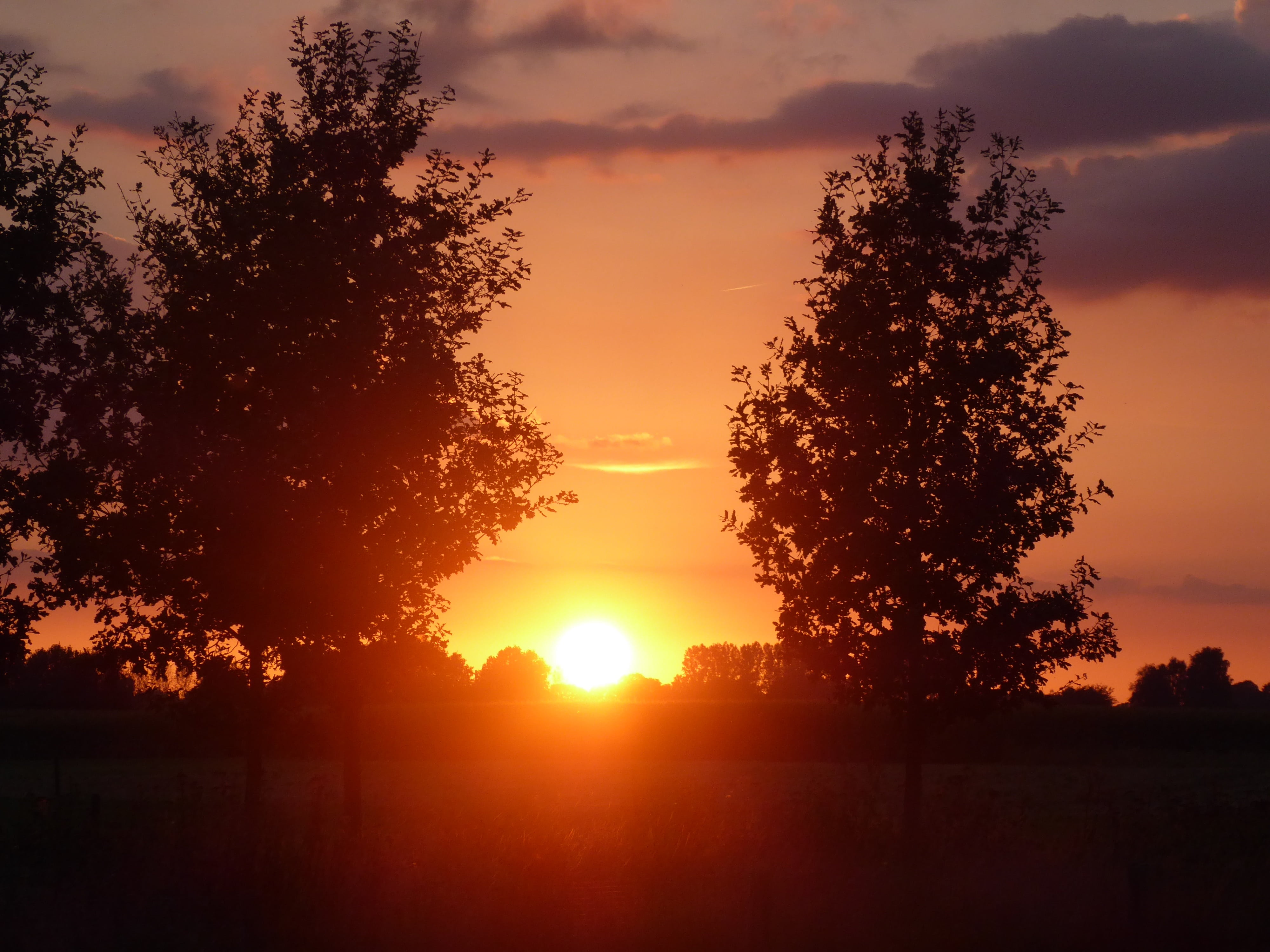 non-urban scene, scenics - nature, tree, air, growth, lens flare, sunset, plant, clouds, landscape, outdoors, summer, 4K, land, above, cloud - sky, tranquil scene, HD Wallpaper