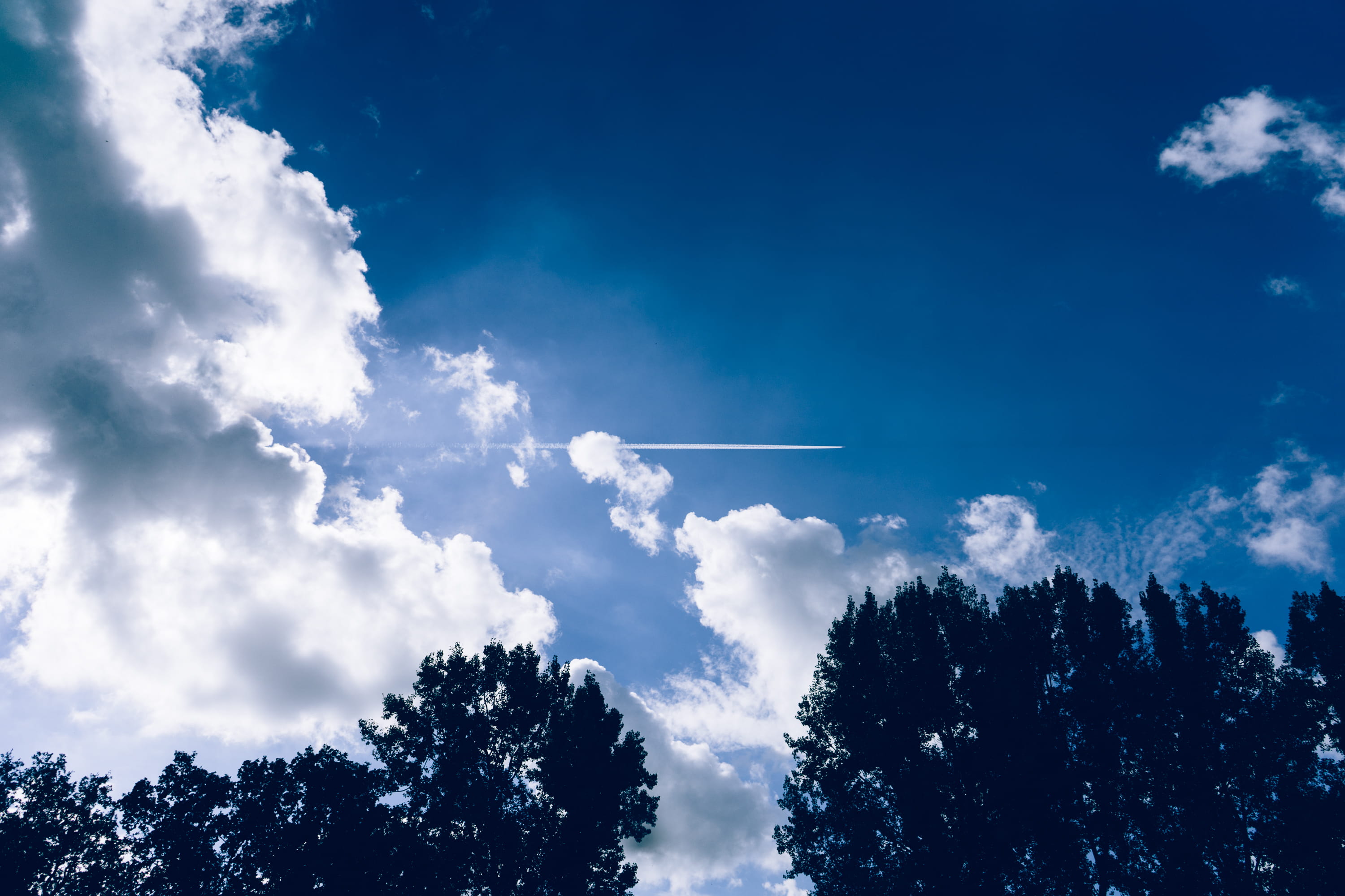 outdoors, clouds, trees, tranquility, low angle view, growth, sky, white color, plant, cloud - sky, vapor trail, silhouette, barneveld, idyllic, blue, non-urban scene, HD Wallpaper