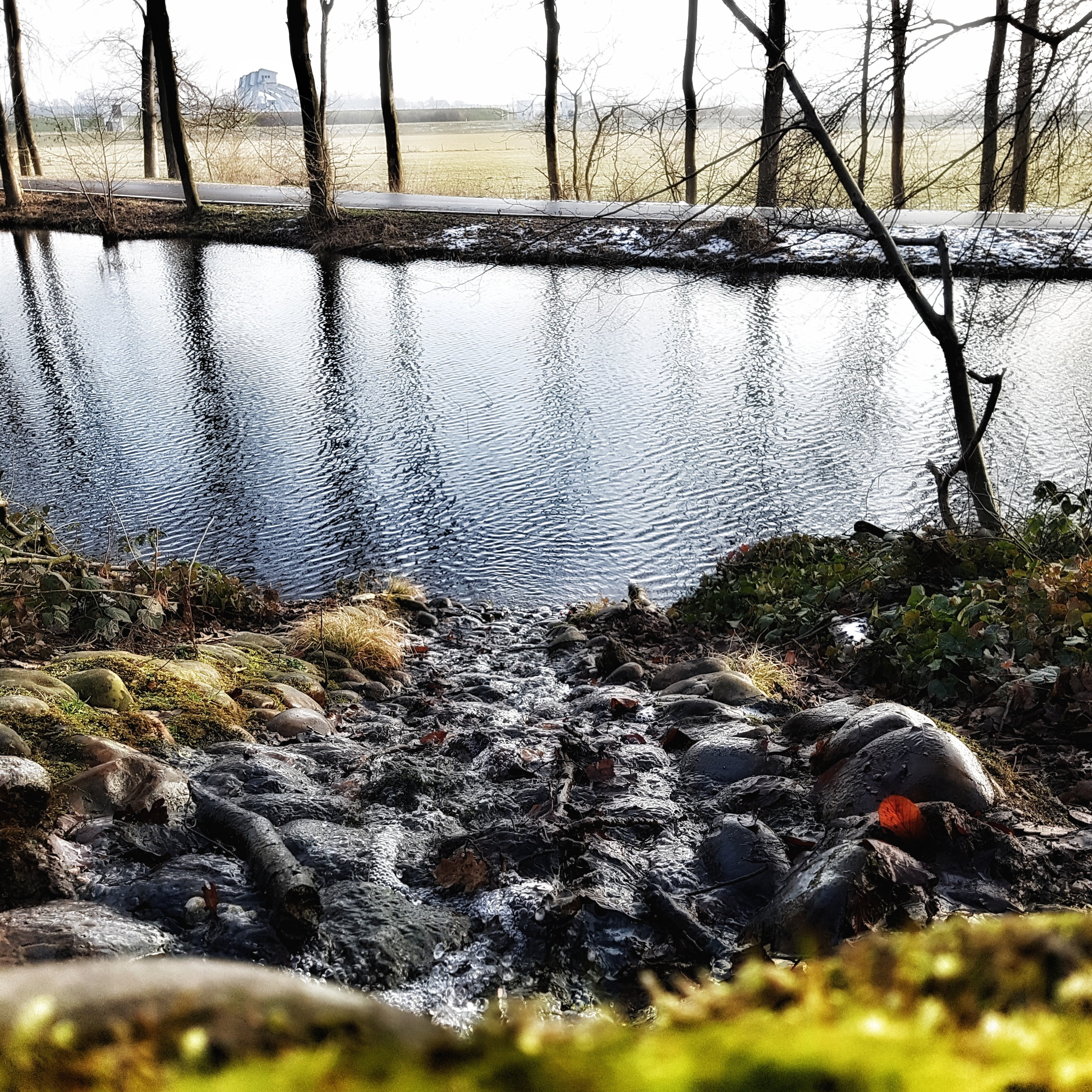 doorwerth, outdoors, flowing, rock - object, gelderland, nature, tranquility, solid, rock, non-urban scene, no people, scenics - nature, land, river, plant, Phone HD Wallpaper