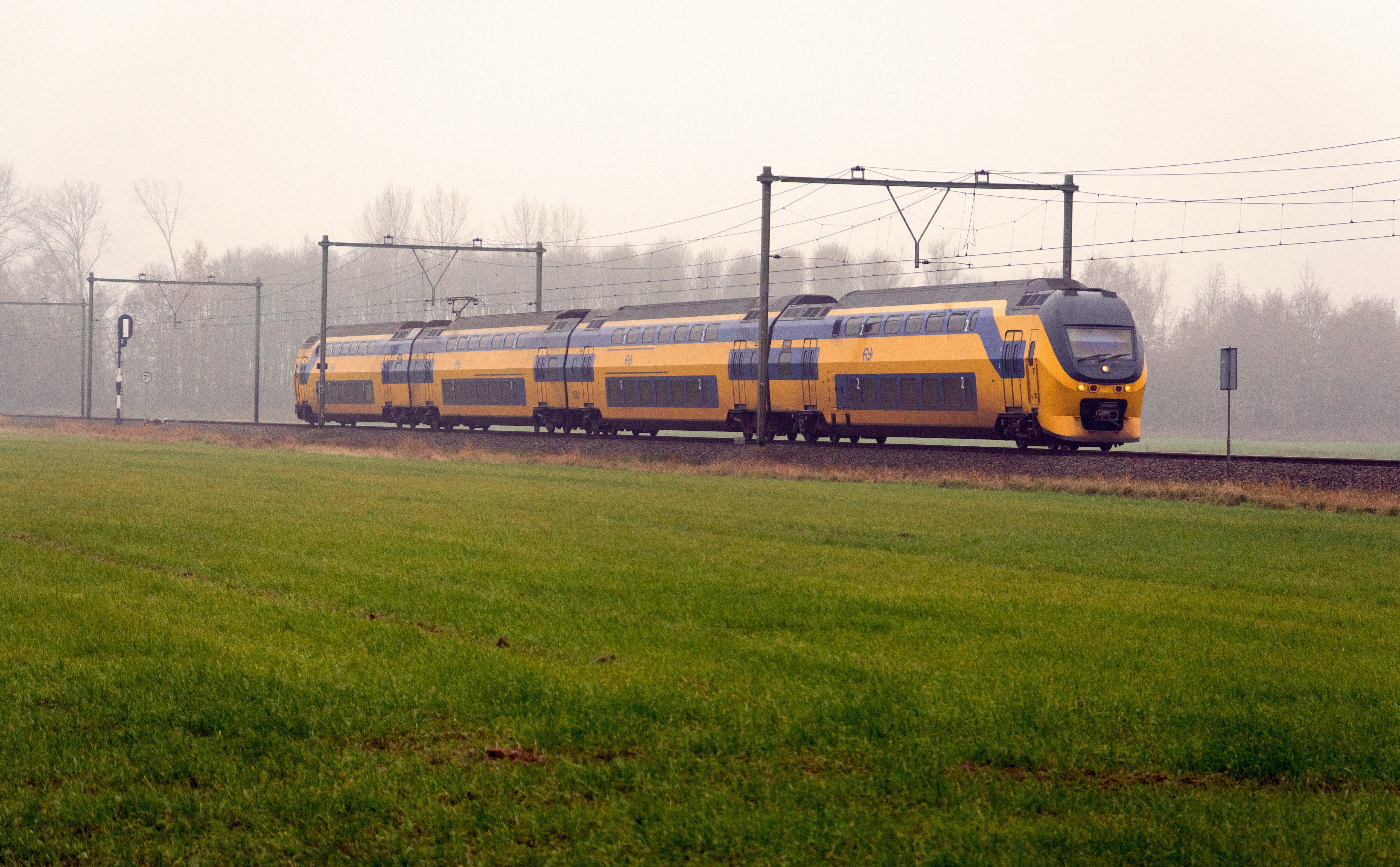 railroad car, plant, yellow, no people, cable, public transportation, day, track, 5K, land, land vehicle, train, railroad track, transportation, gelderland, HD Wallpaper